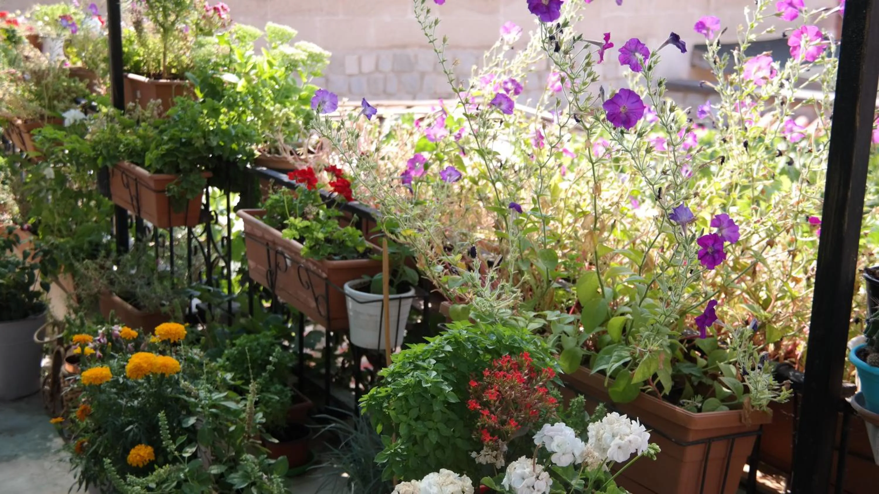 Patio in Turkish Cave House