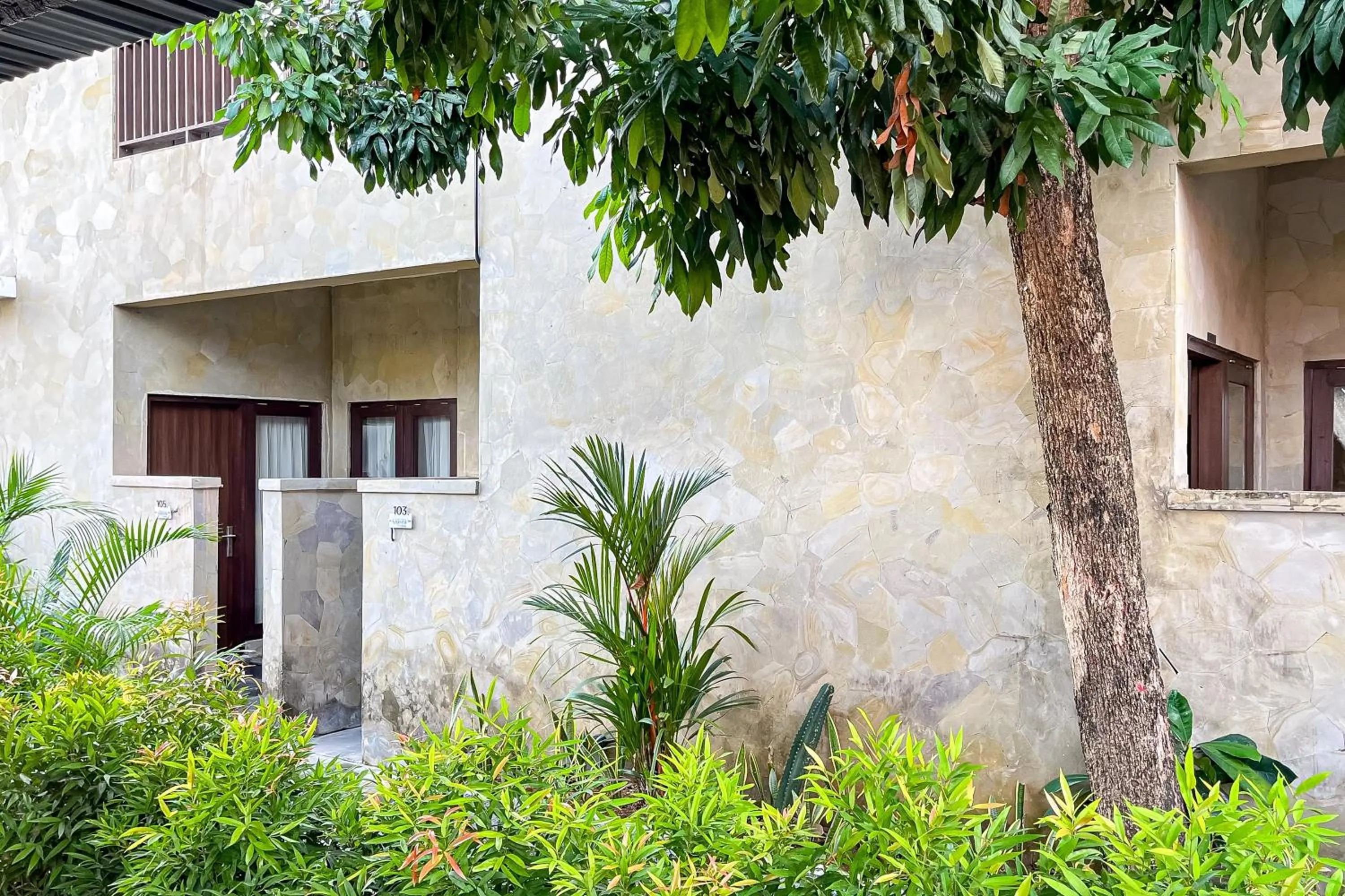 Property building in Sekeca Coliving