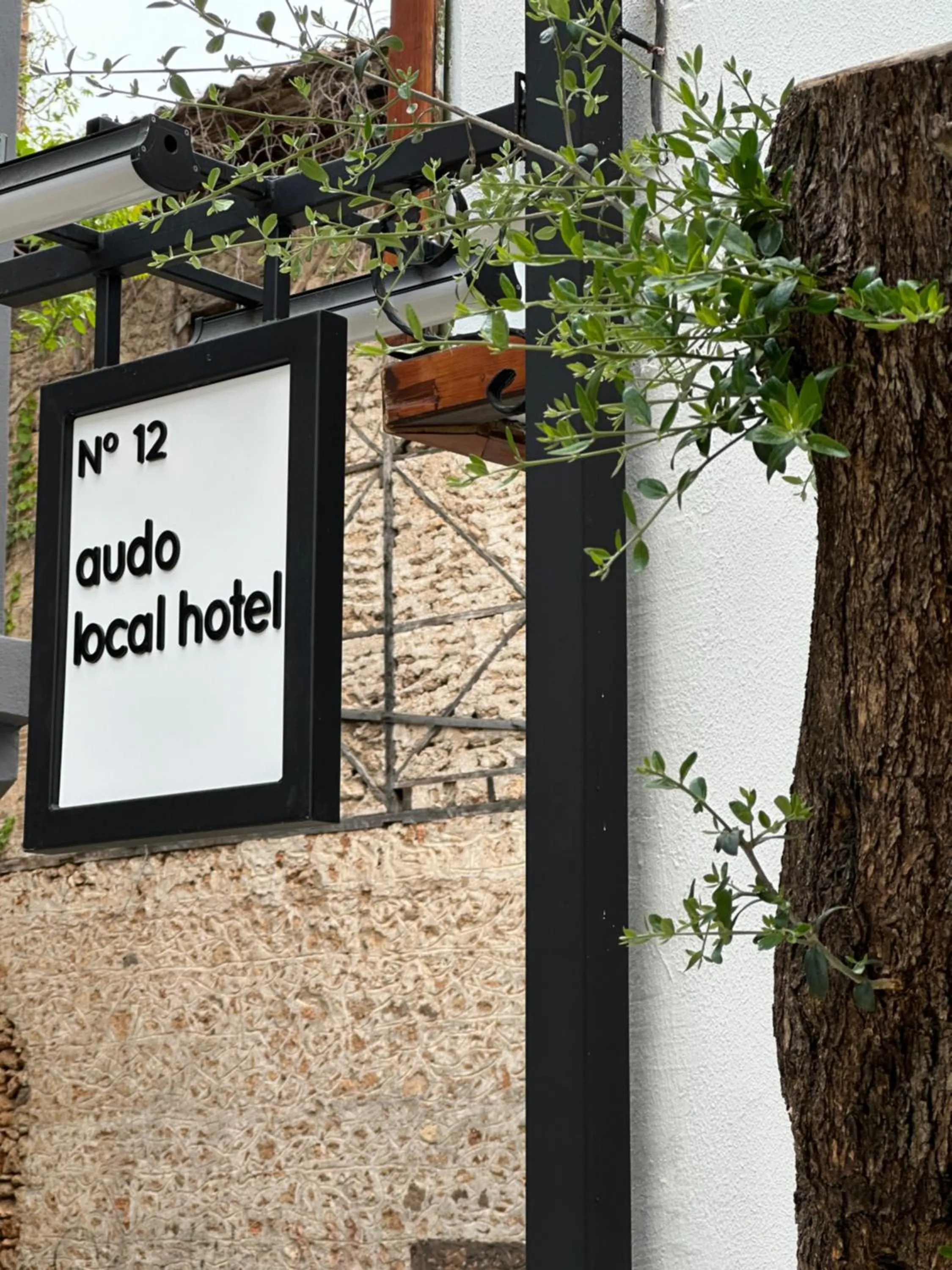 Property logo or sign in Audo Local