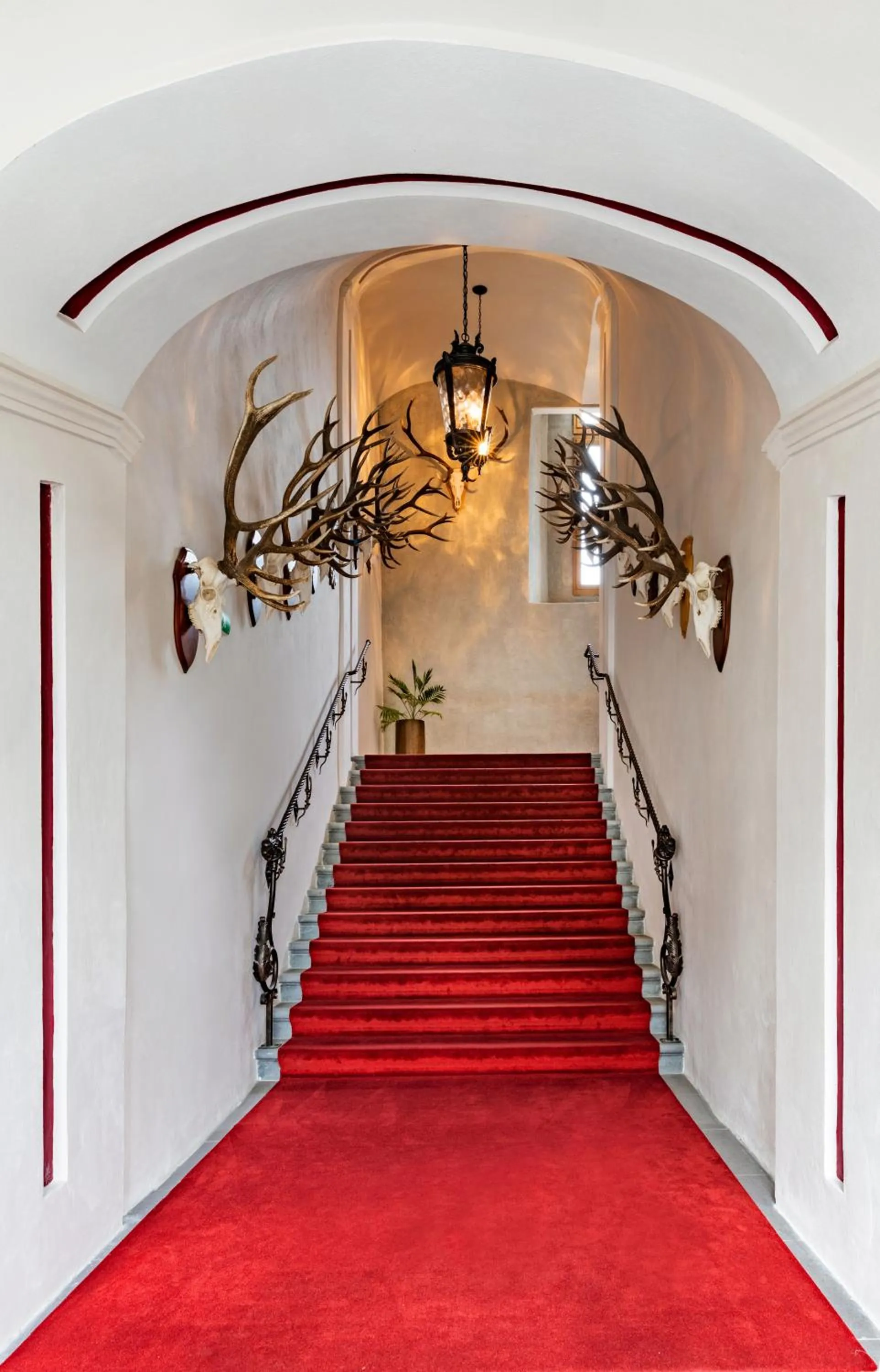 Area and facilities in Hotel Grand Vígľaš