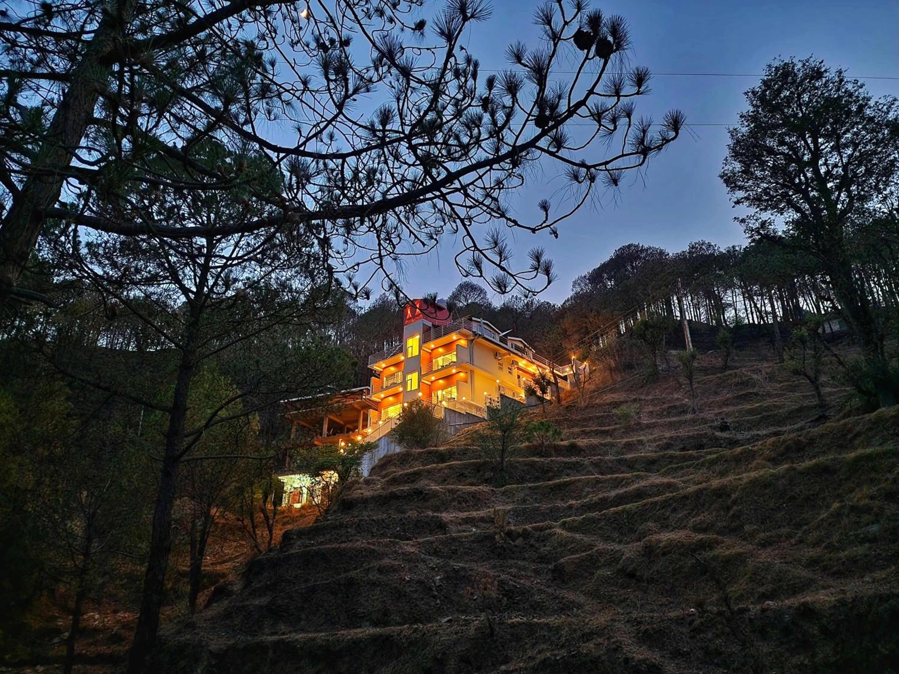Wonder Hill Kasauli