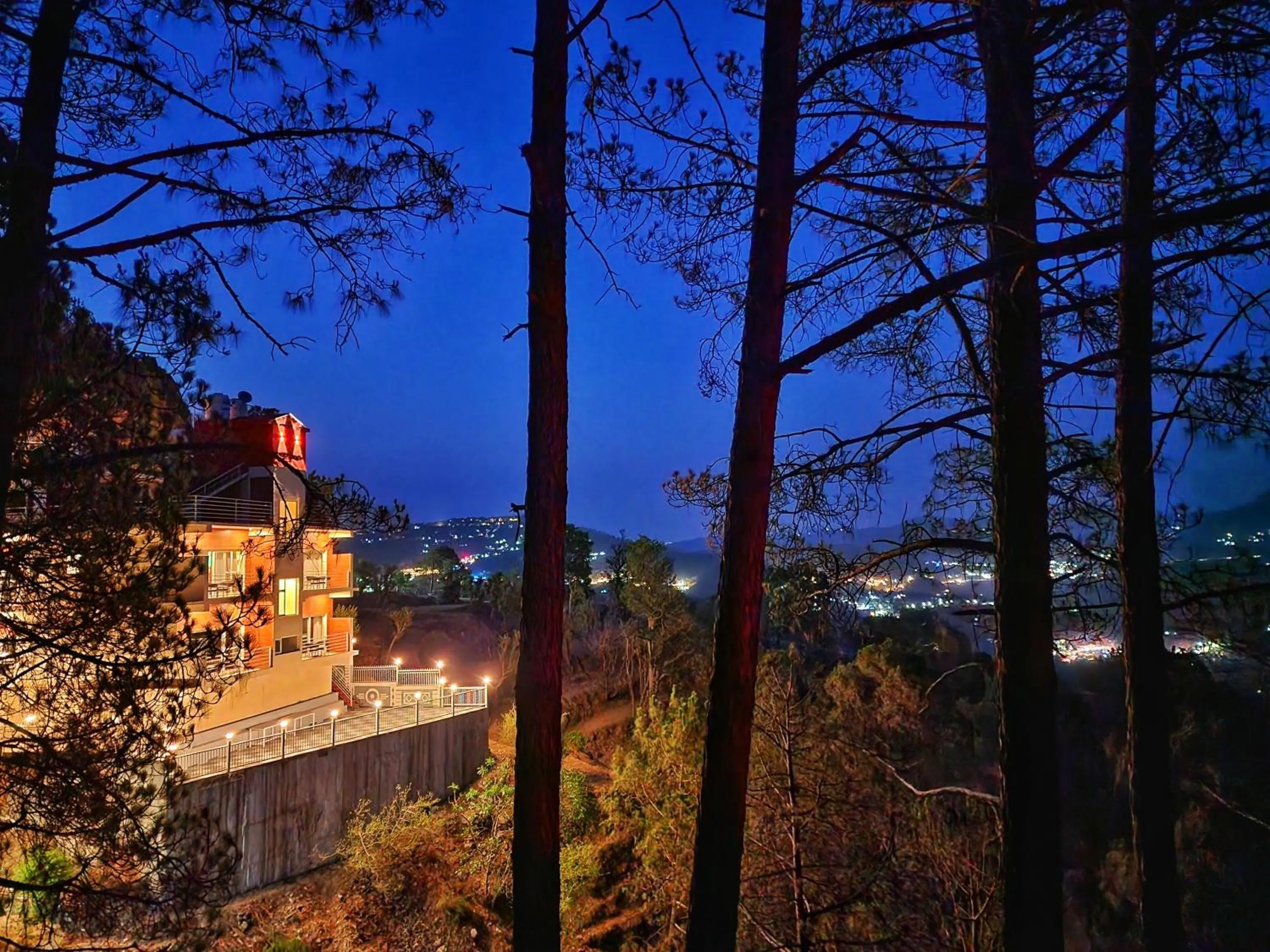 Wonder Hill Kasauli