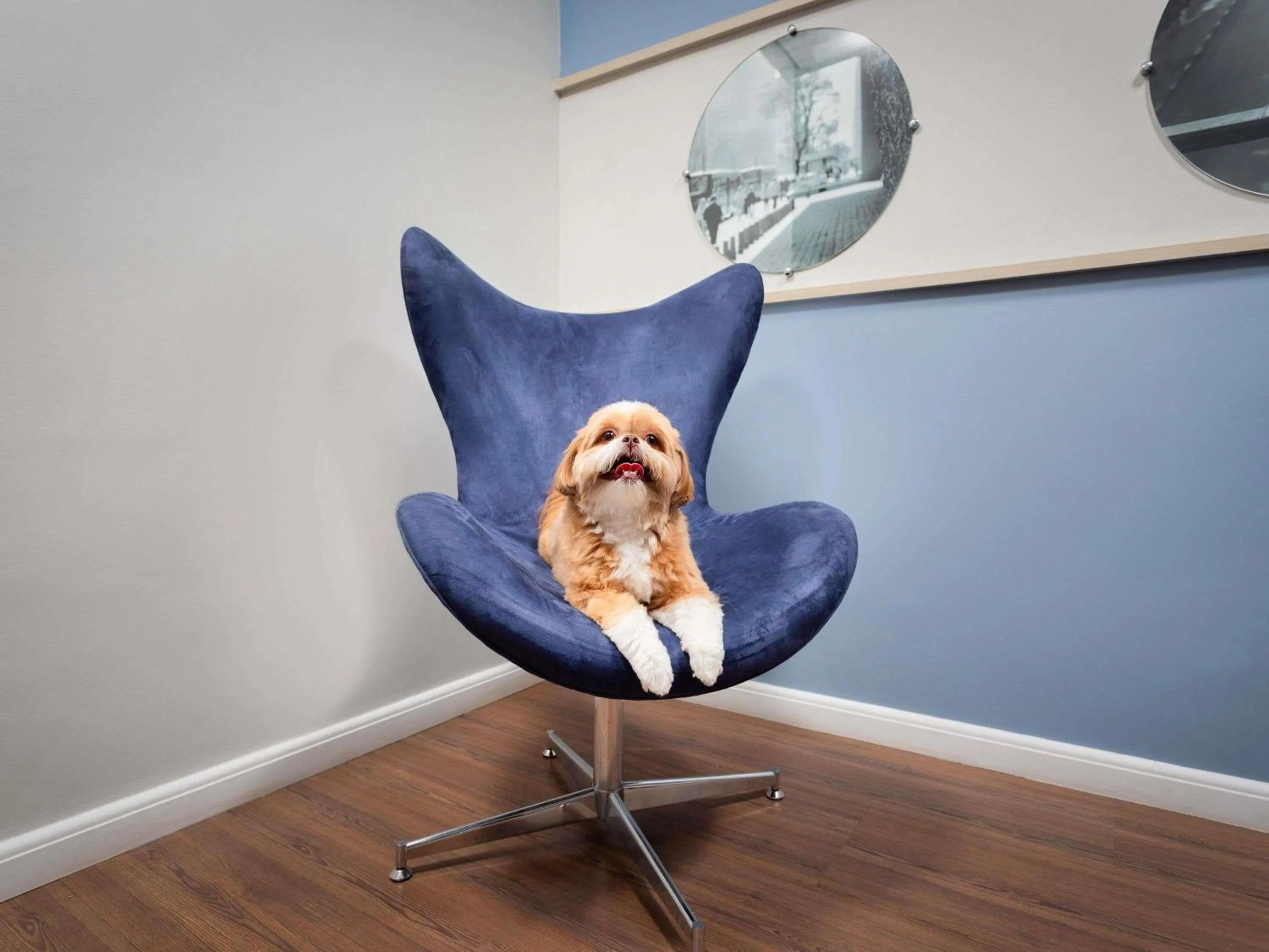 Bedroom in Mercure Sao Paulo Pamplona