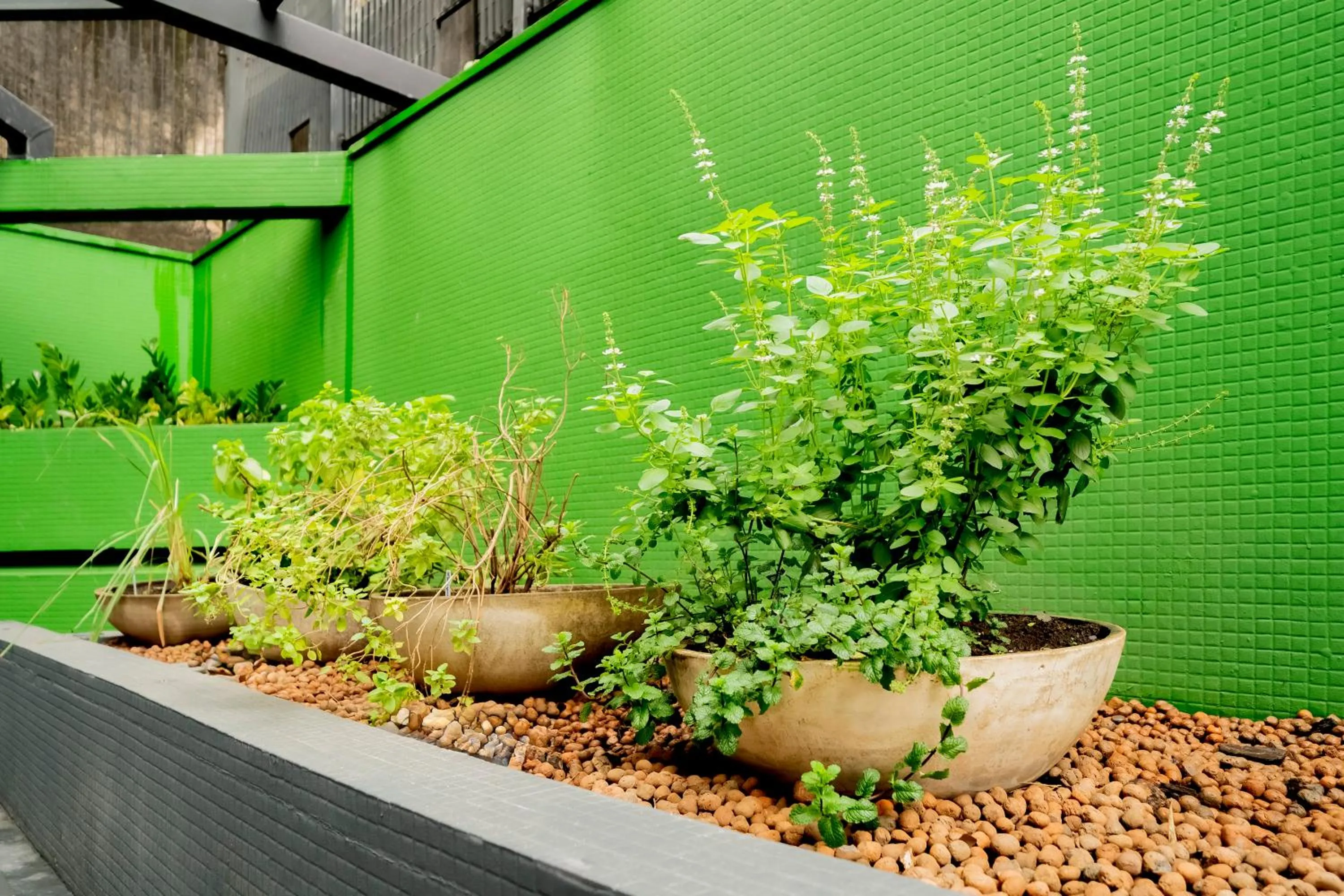 Garden in Mercure Sao Paulo Pamplona