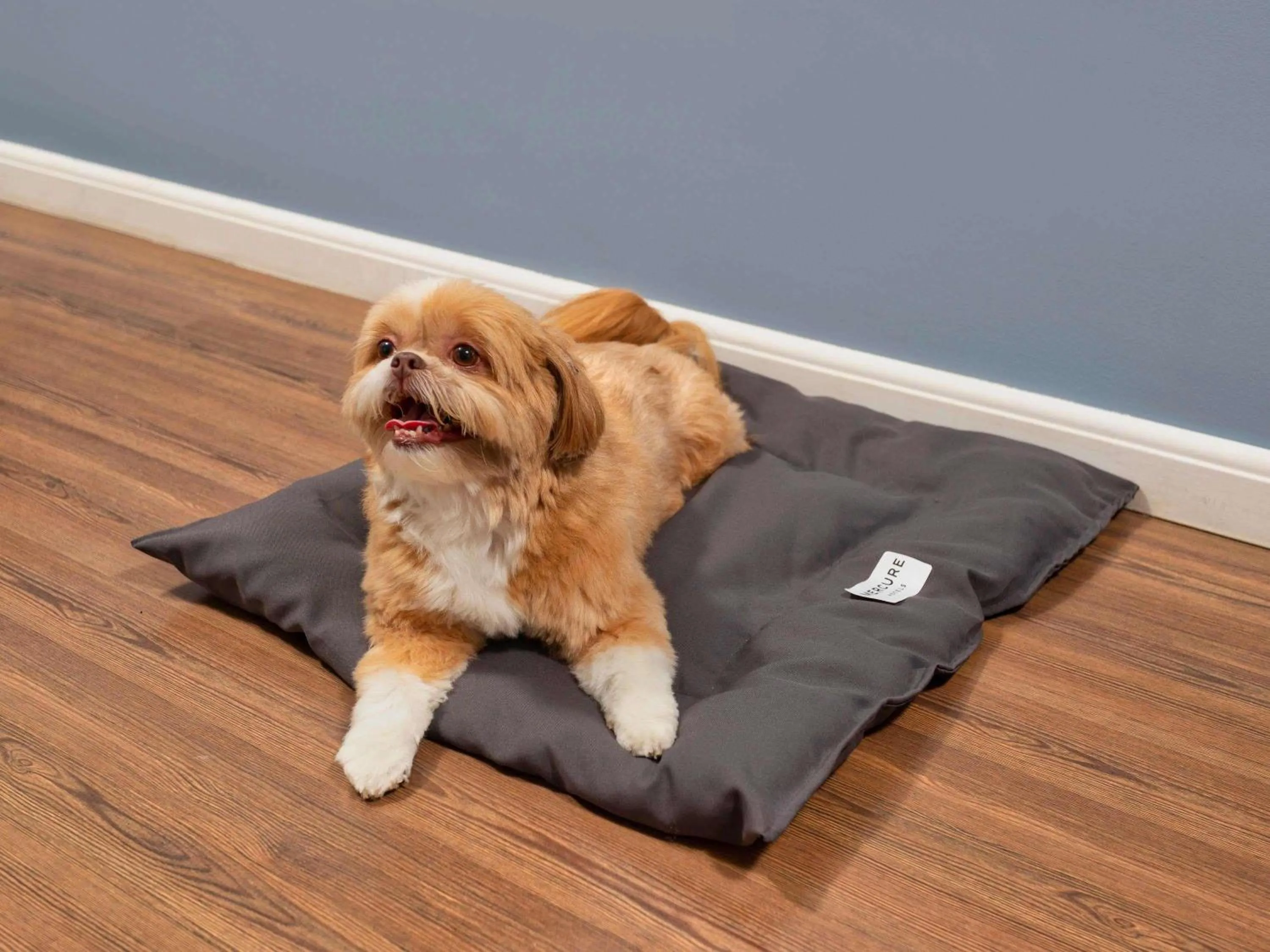 Bedroom in Mercure Sao Paulo Pamplona