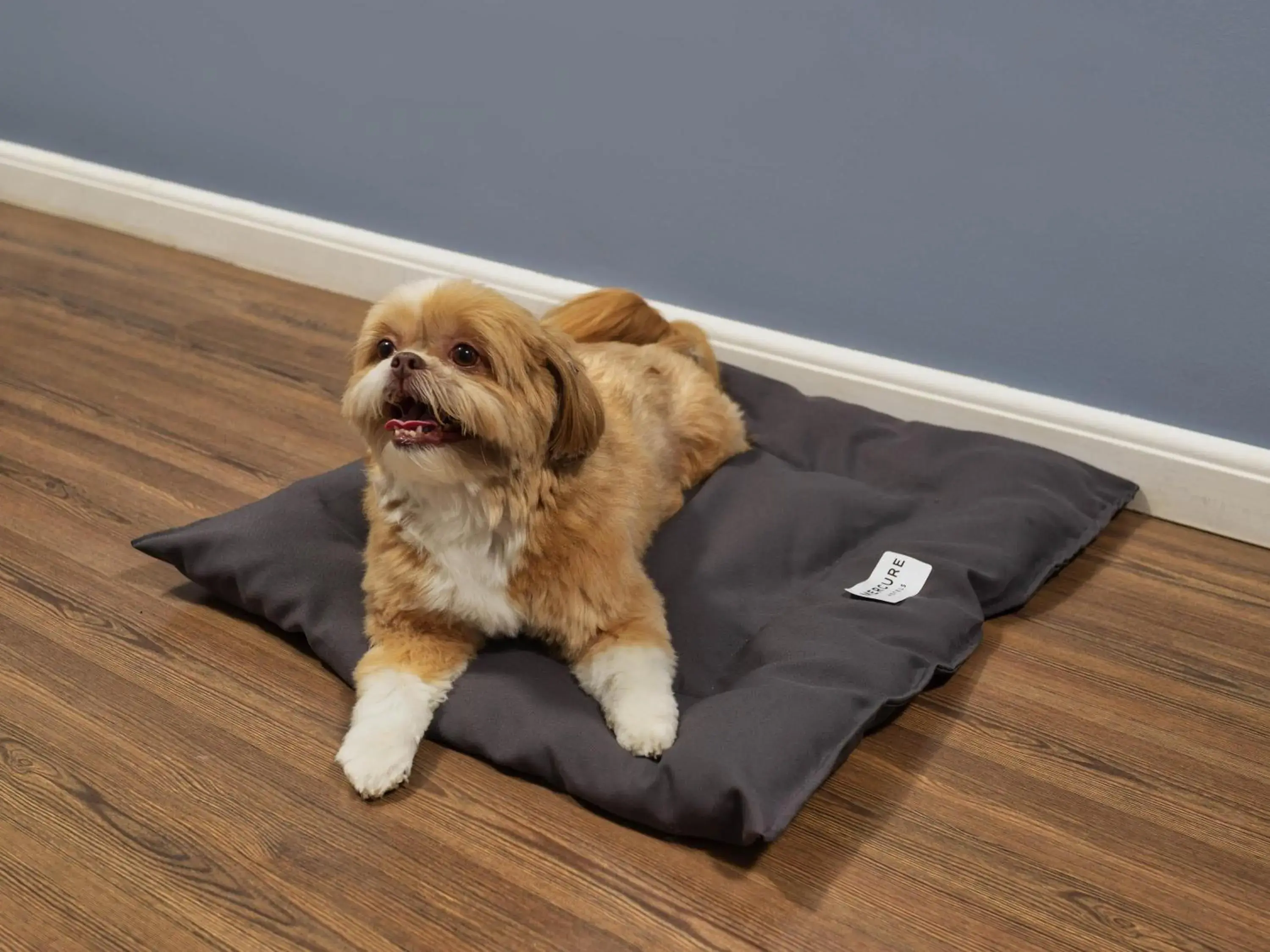 Bedroom in Mercure Sao Paulo Pamplona Bedroom in Mercure Sao Paulo Pamplona