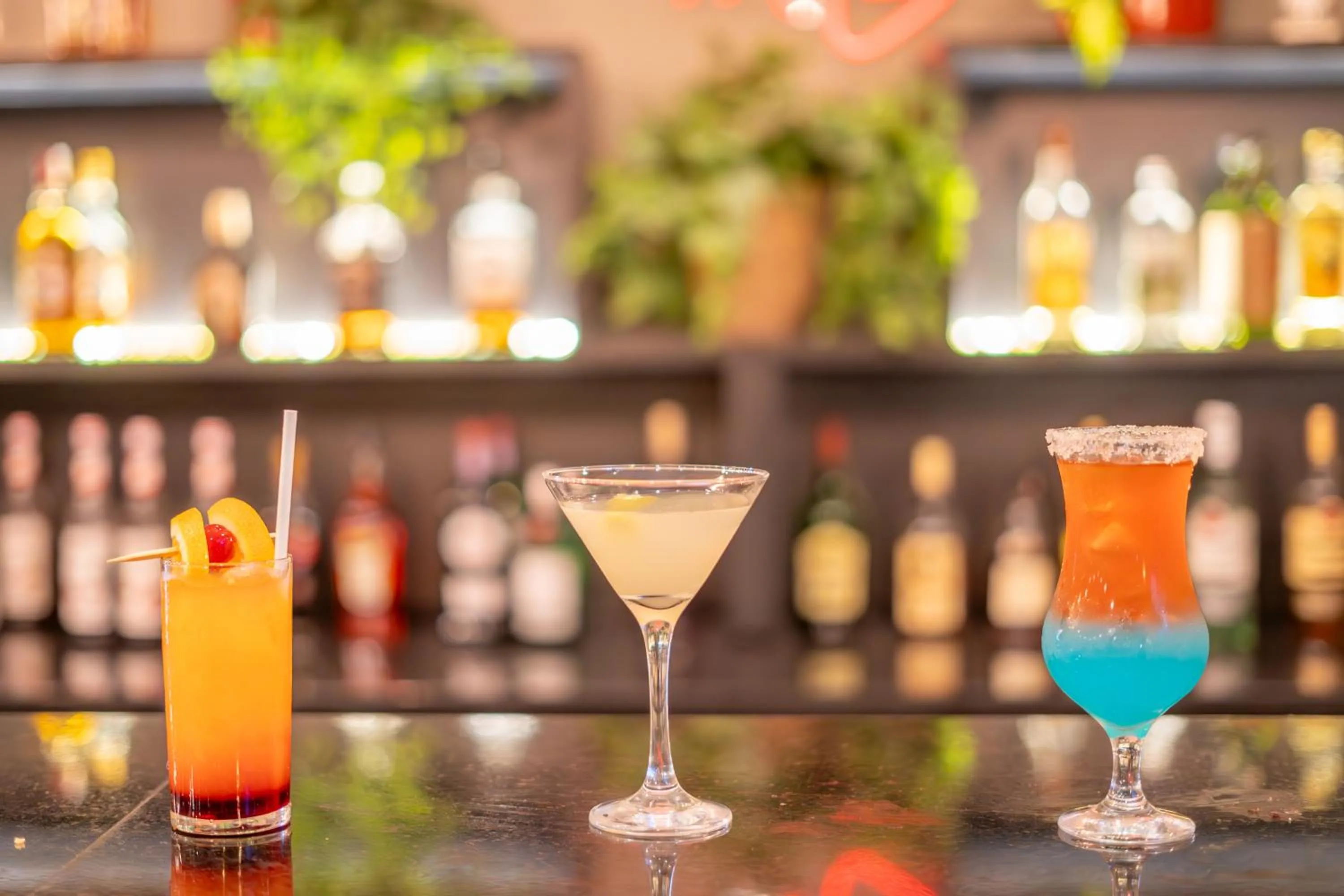 Lounge or bar in Hotel Nacional Inn Jaragua Sao Paulo