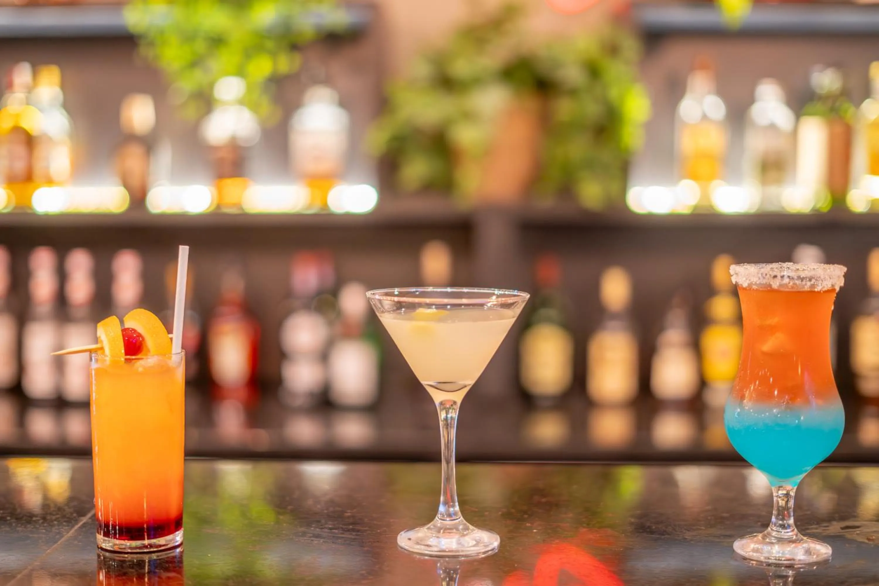 Lounge or bar in Hotel Nacional Inn Jaragua Sao Paulo