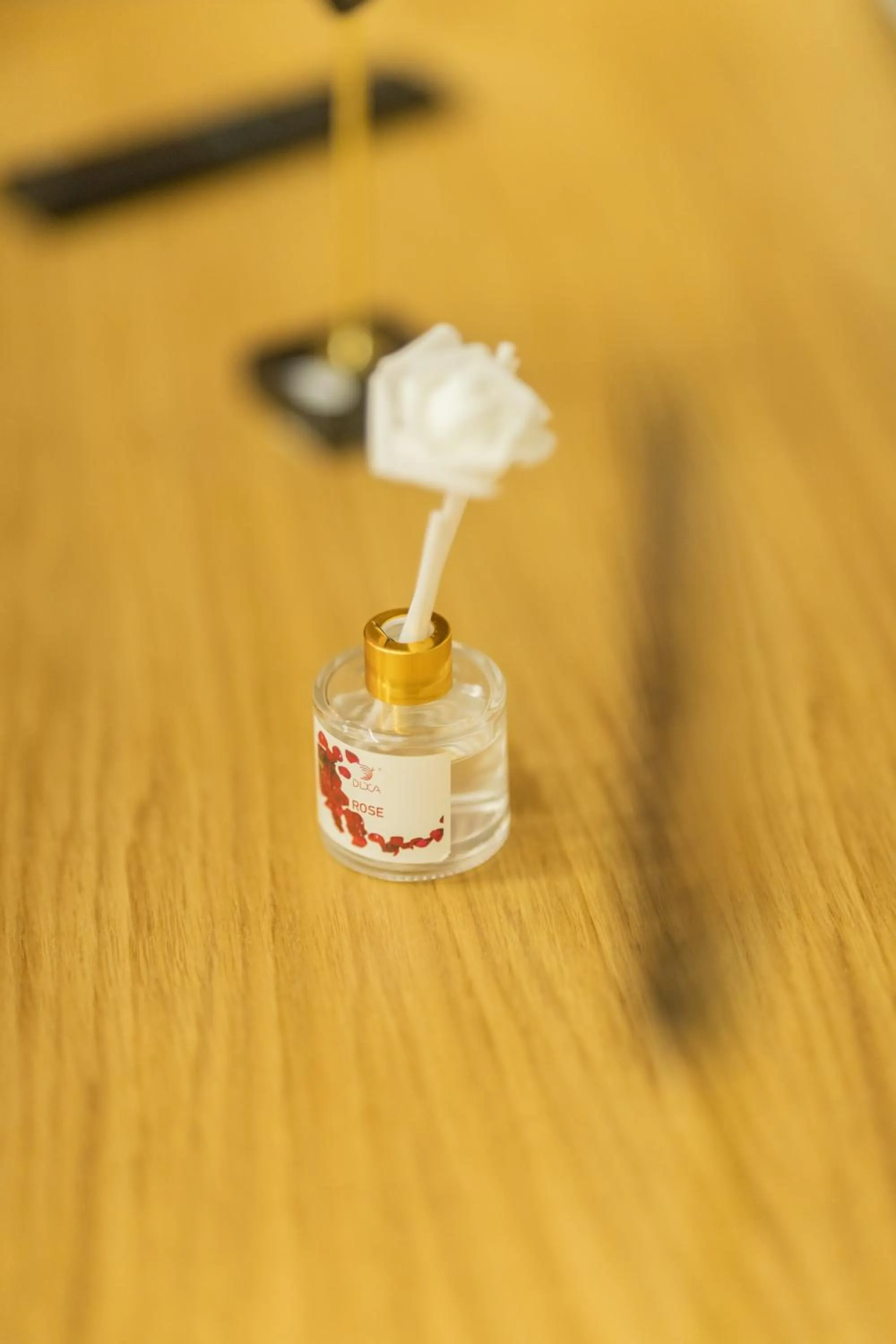 Decorative detail in Appart Hôtel Rambla