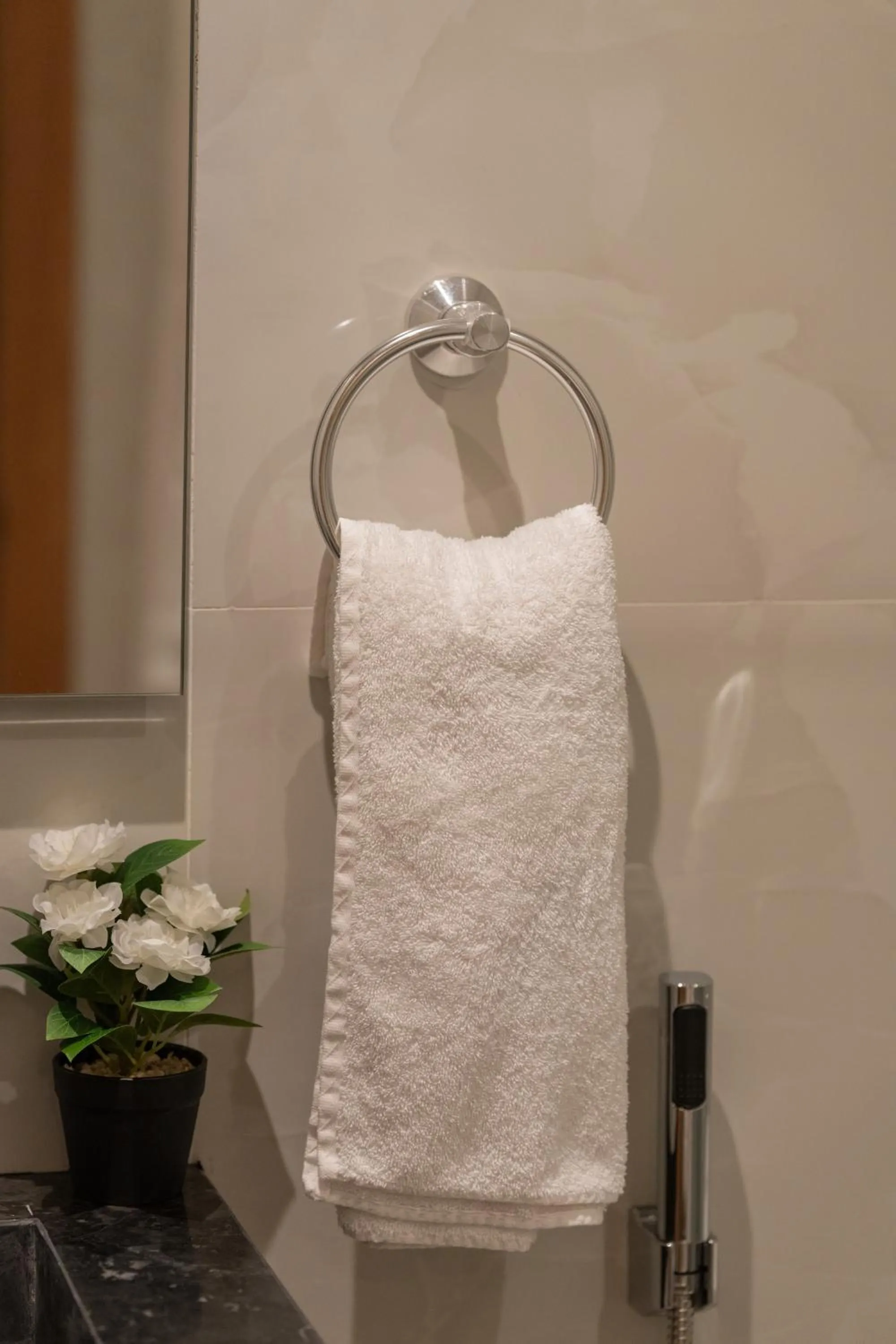 towels in Appart Hôtel Rambla