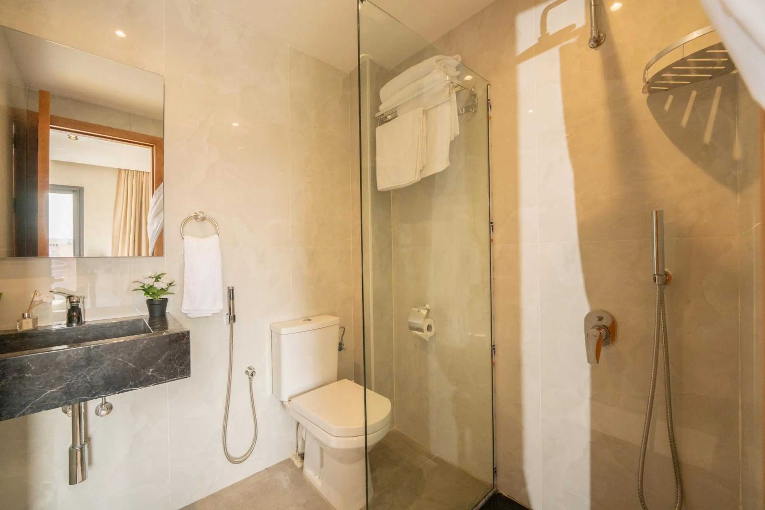 Shower in Appart Hôtel Rambla