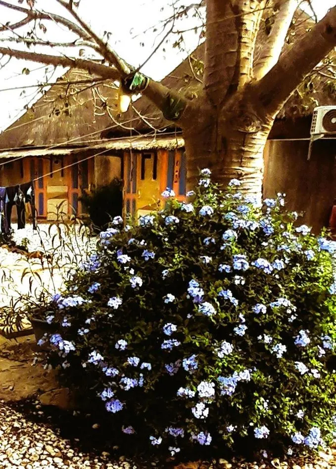 View (from property/room) in Le Chamama