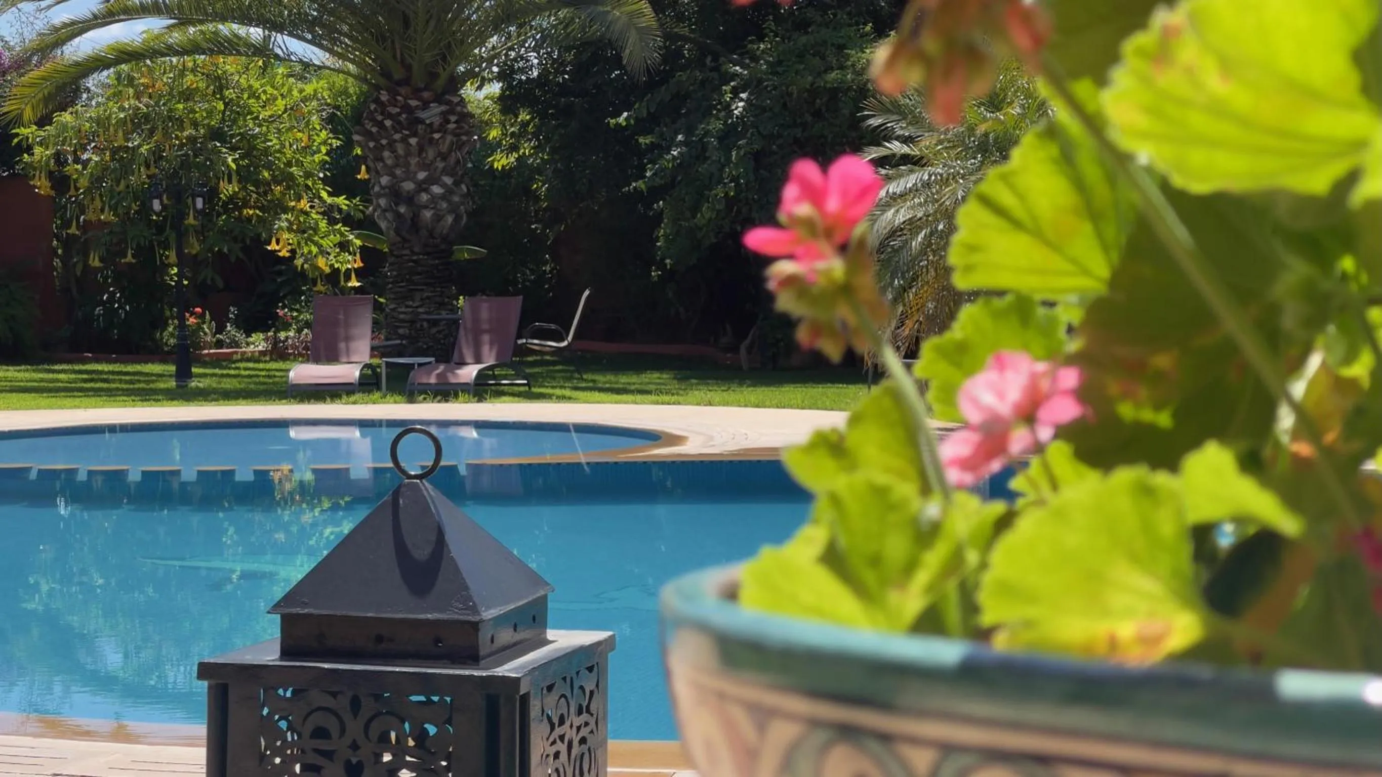 Garden in Riad Noumidya