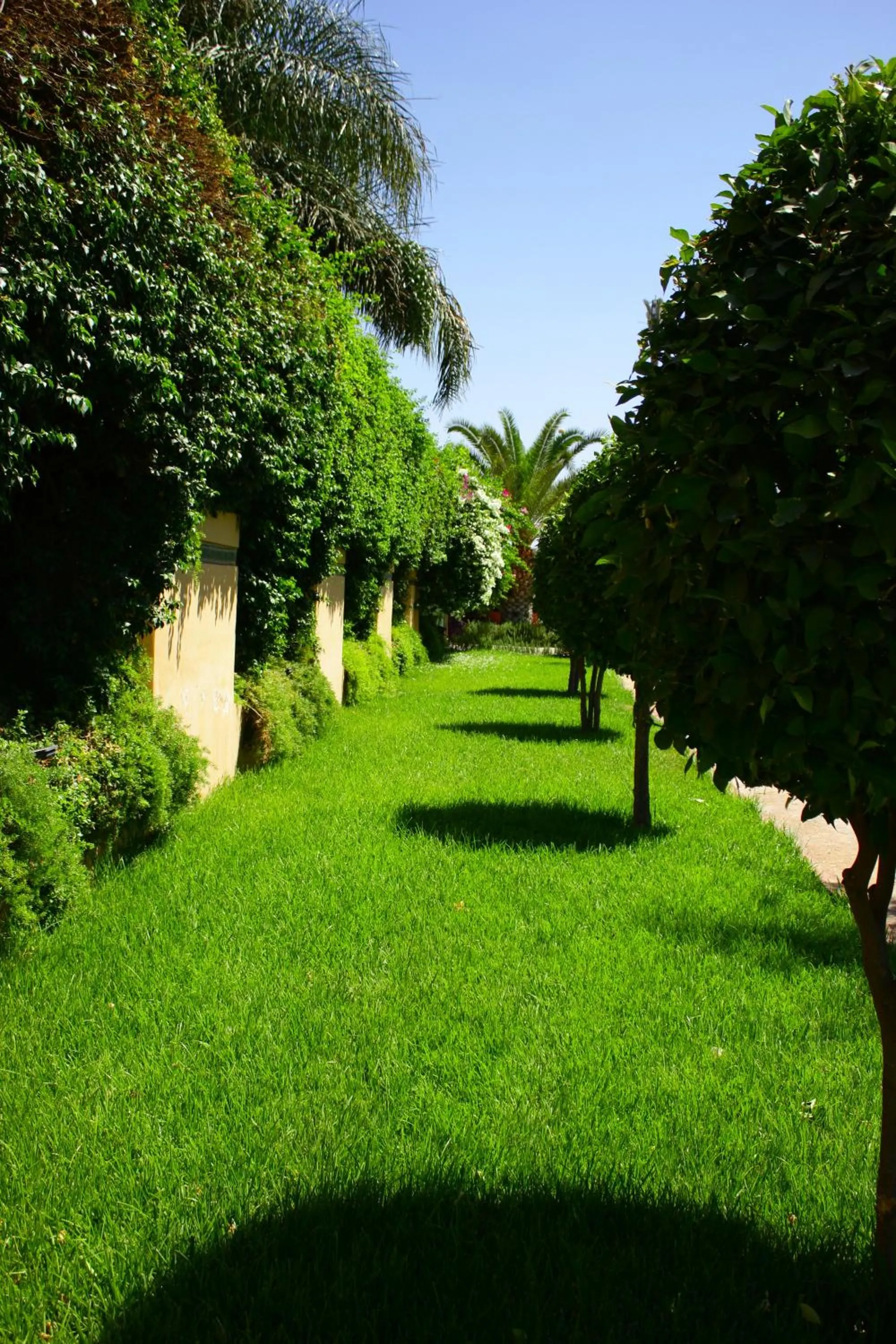 Garden in Riad Noumidya