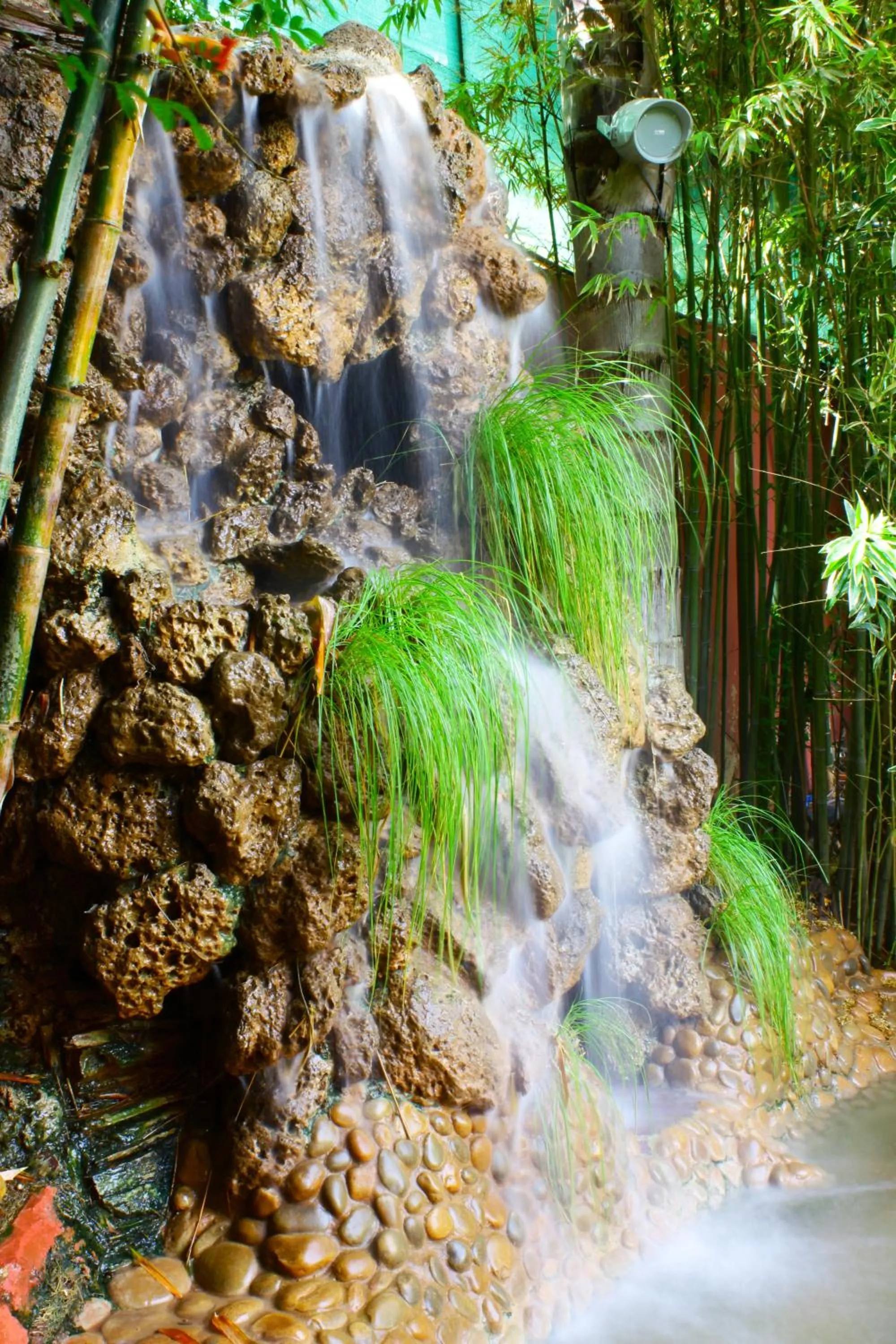 Garden in Riad Noumidya