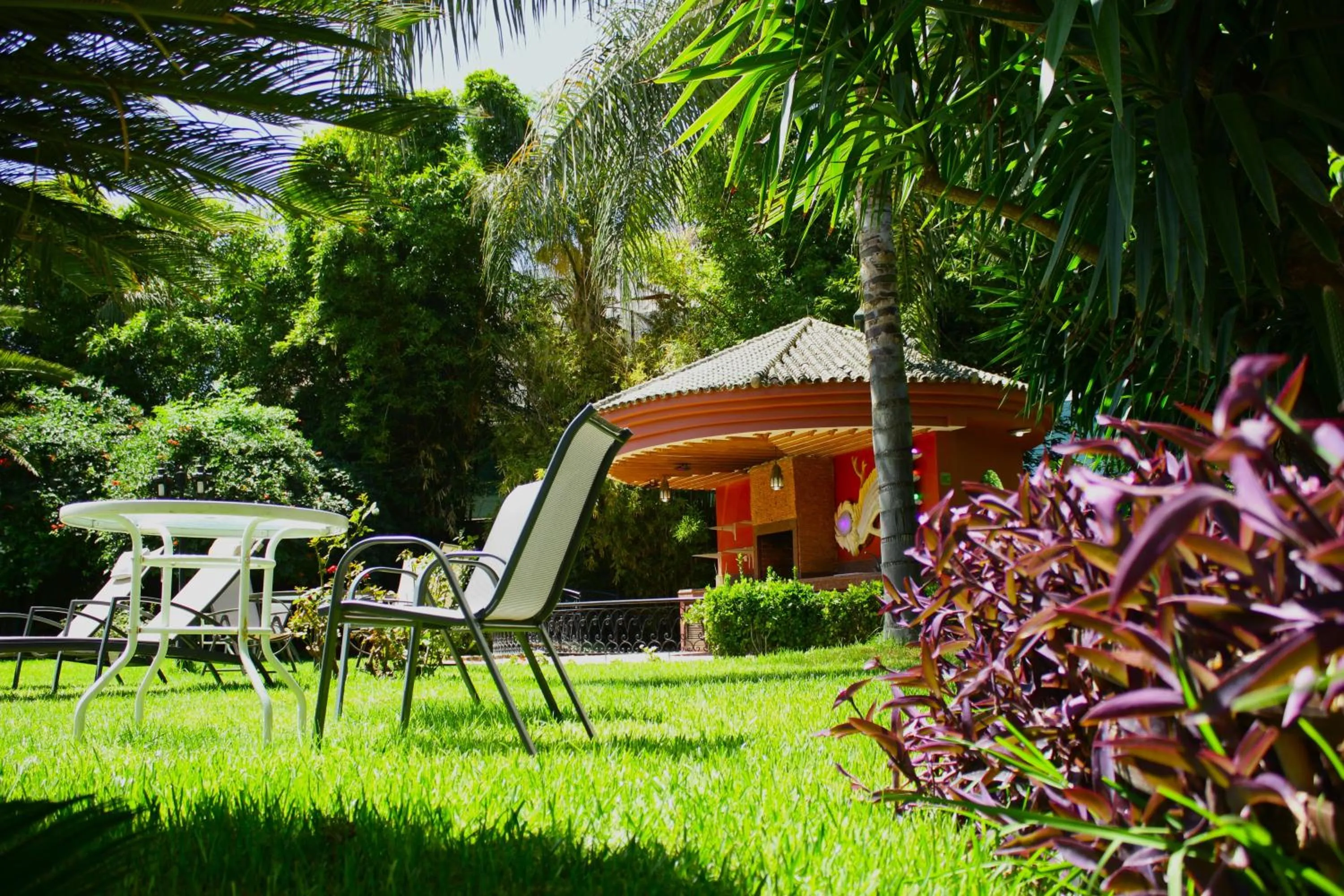 Garden in Riad Noumidya