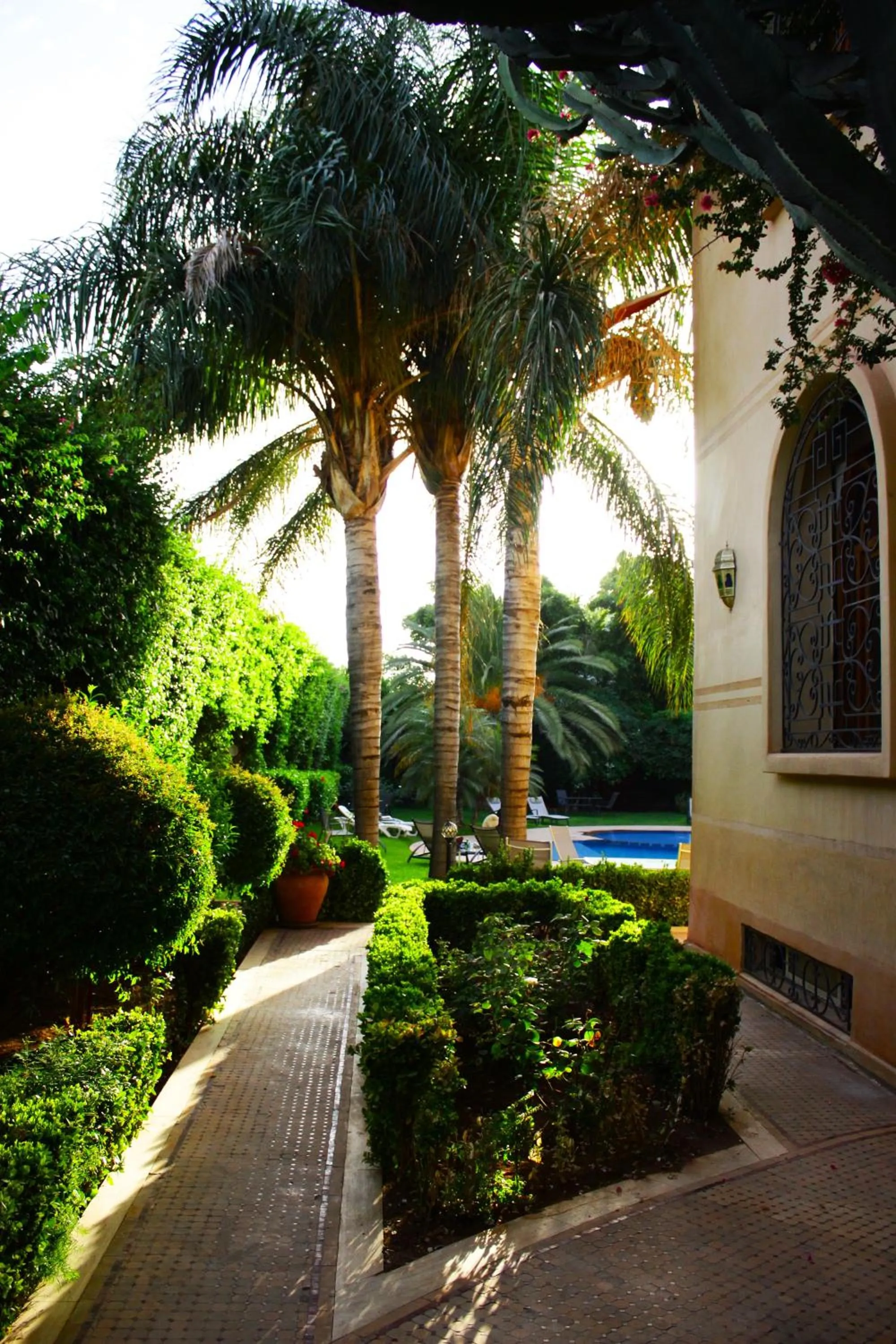 Garden in Riad Noumidya