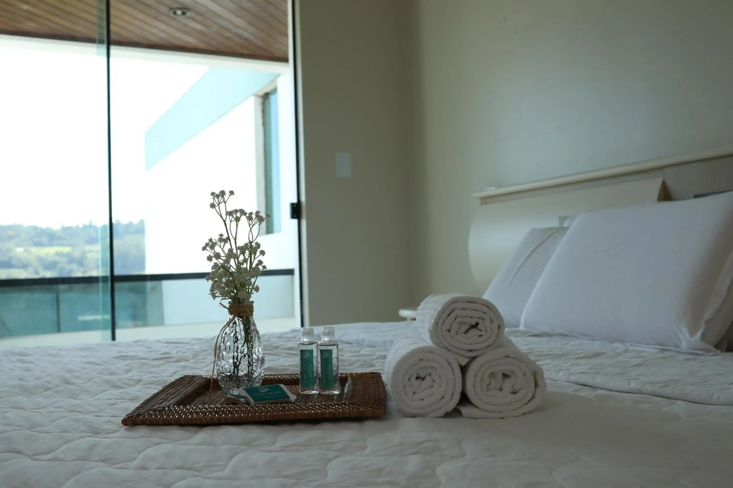 View (from property/room), Bed in Pratas Thermas Resort View (from property/room), Bed in Pratas Thermas Resort