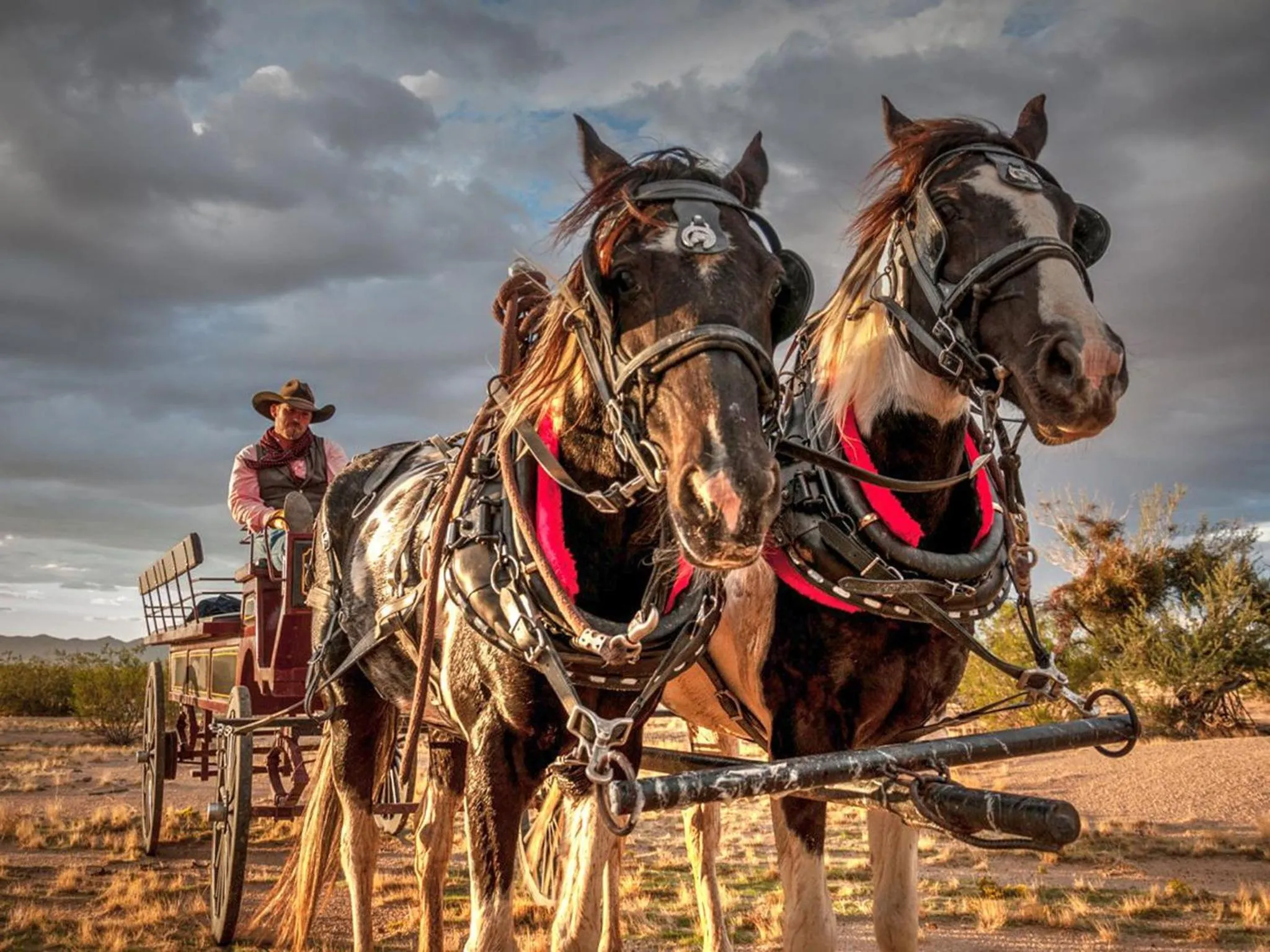 Other in Stagecoach Trails Guest Ranch