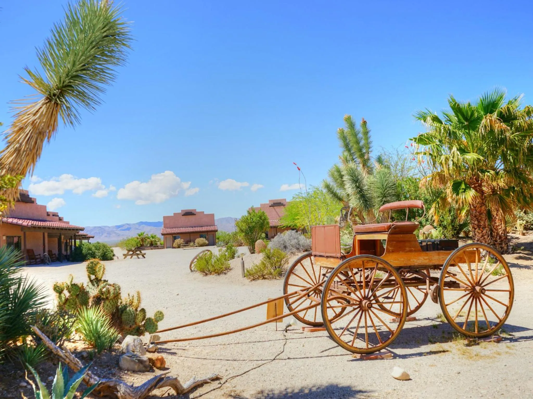 Day in Stagecoach Trails Guest Ranch