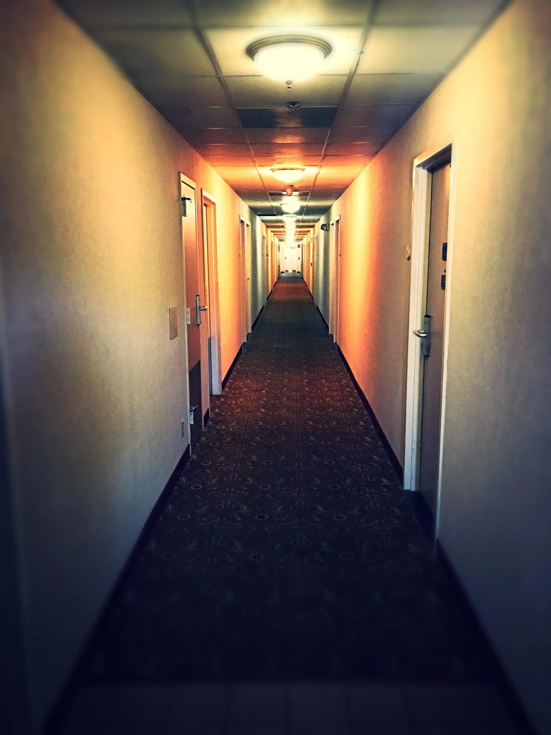 Property building in Super 8 by Wyndham Madison East