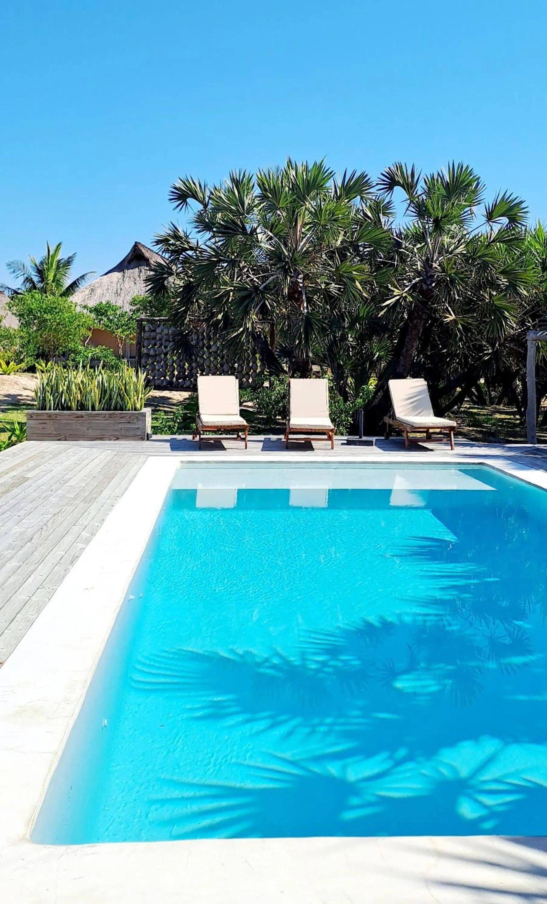 Coral Villa - Beachfront Villa with Private Pool by Karula