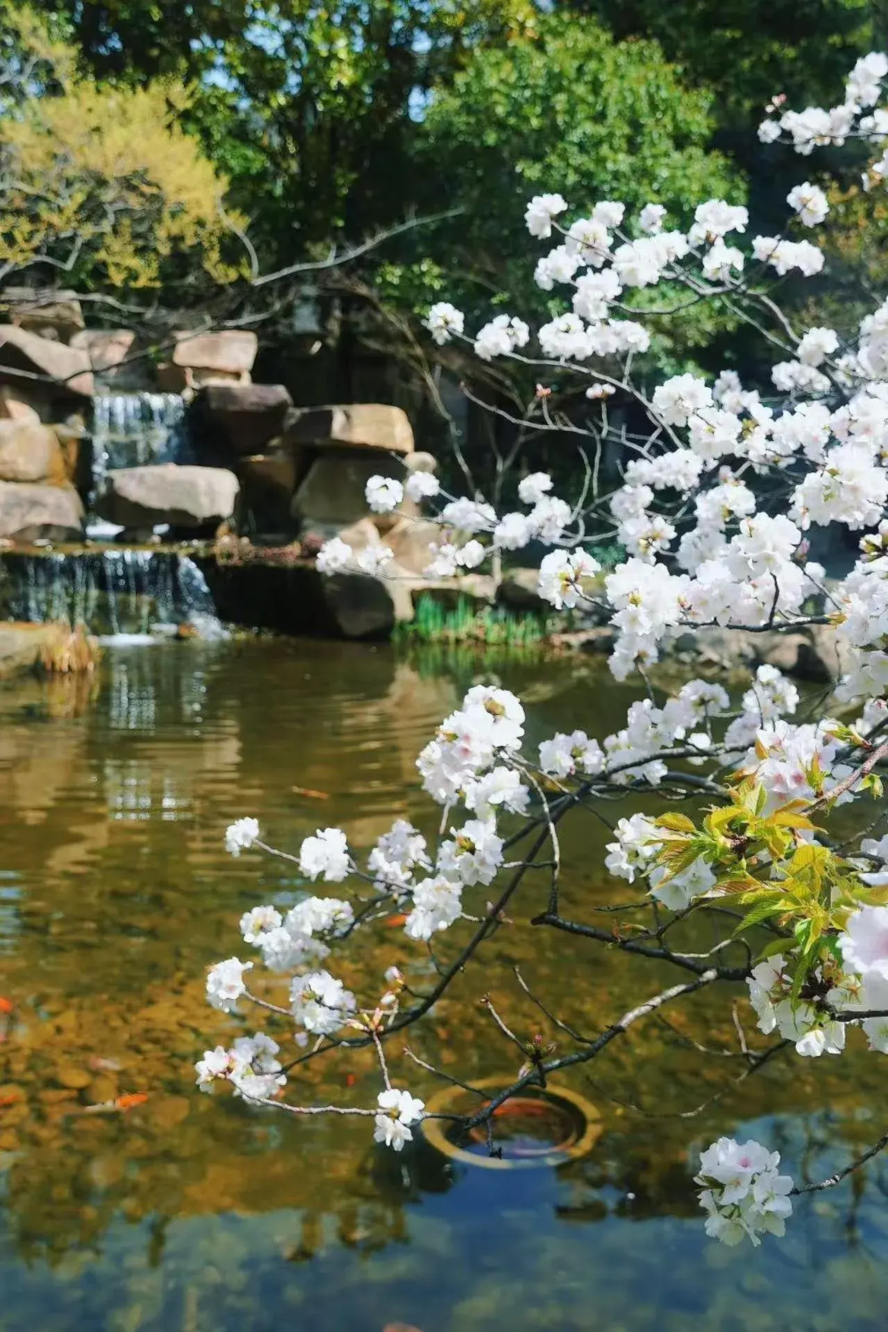 Garden view in Belgravia Serviced Residence Wuxi Garden view in Belgravia Serviced Residence Wuxi