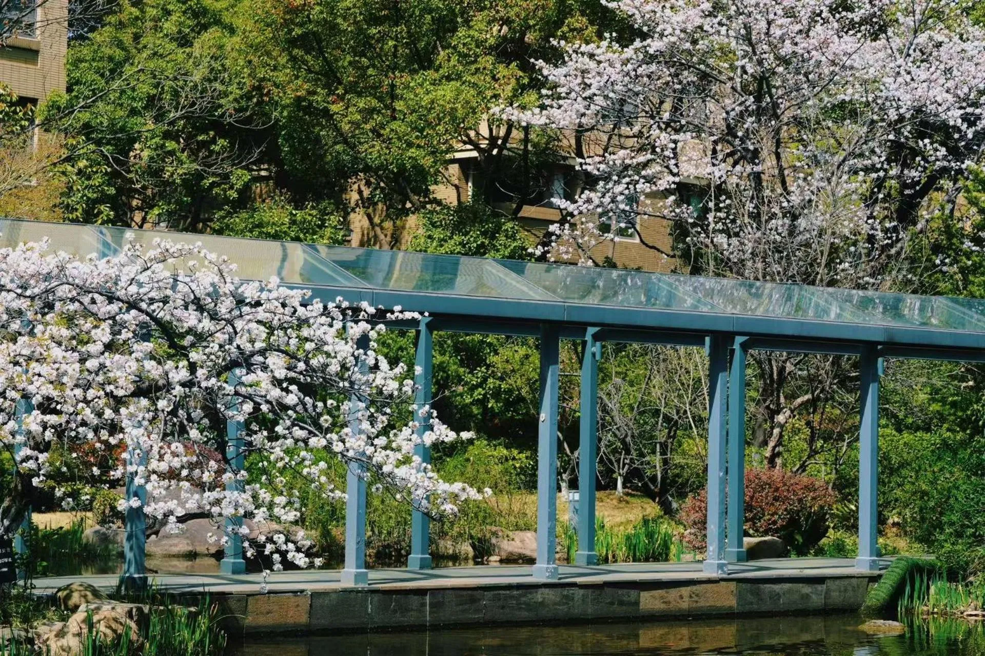 Patio in Belgravia Serviced Residence Wuxi