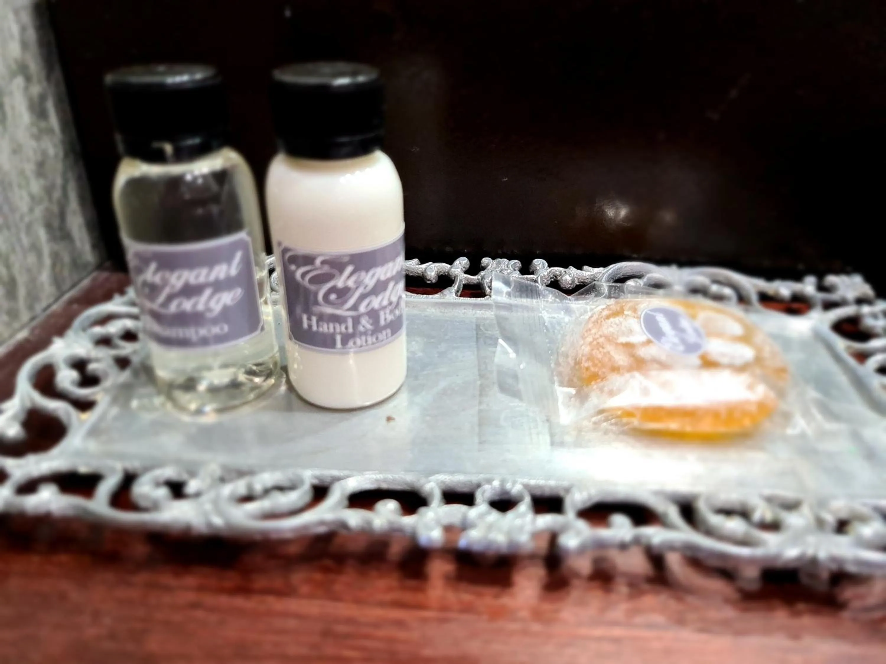 Bathroom in Elegant Lodge & Conference Center