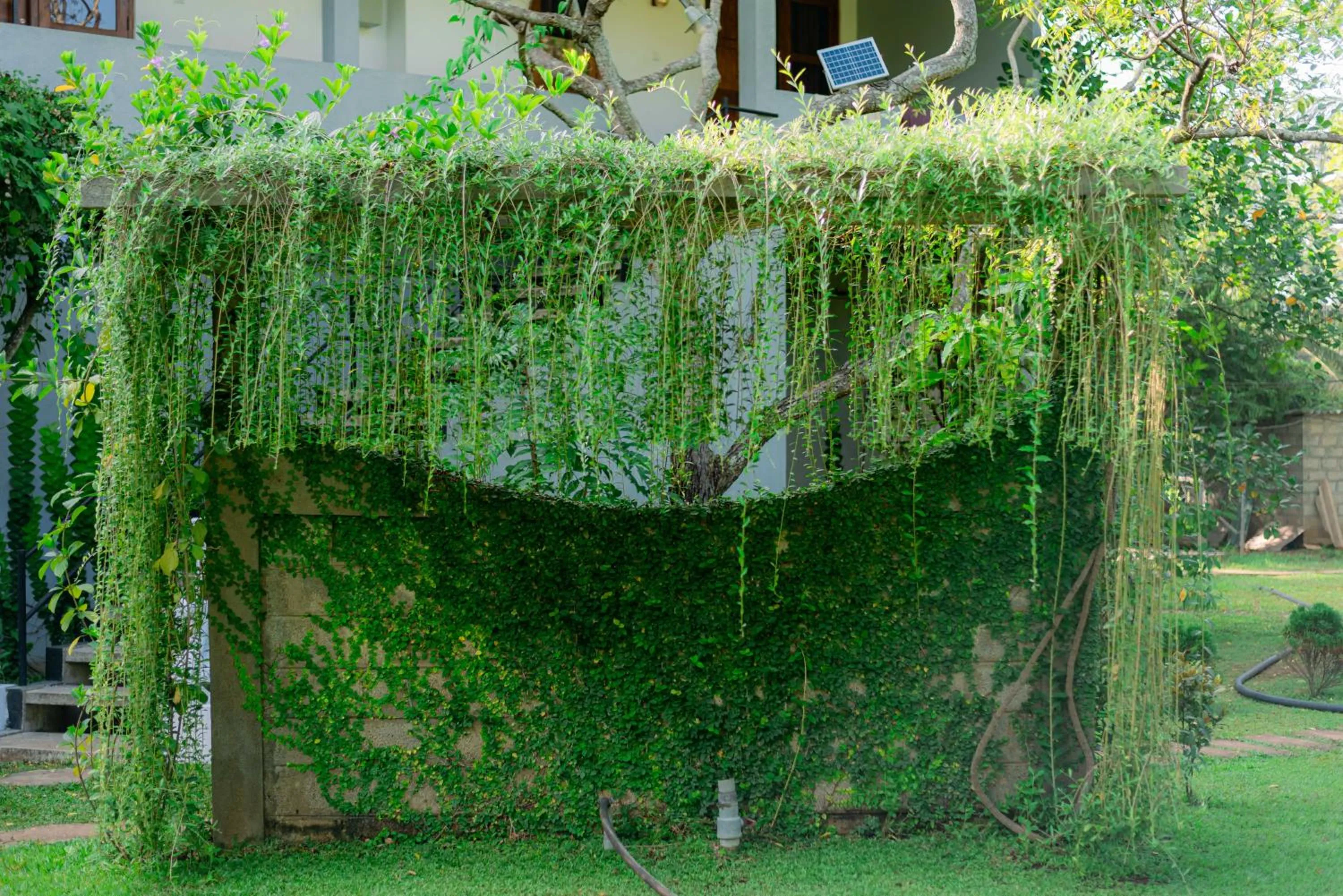 Eco Hotel Black & White - Anuradhapura