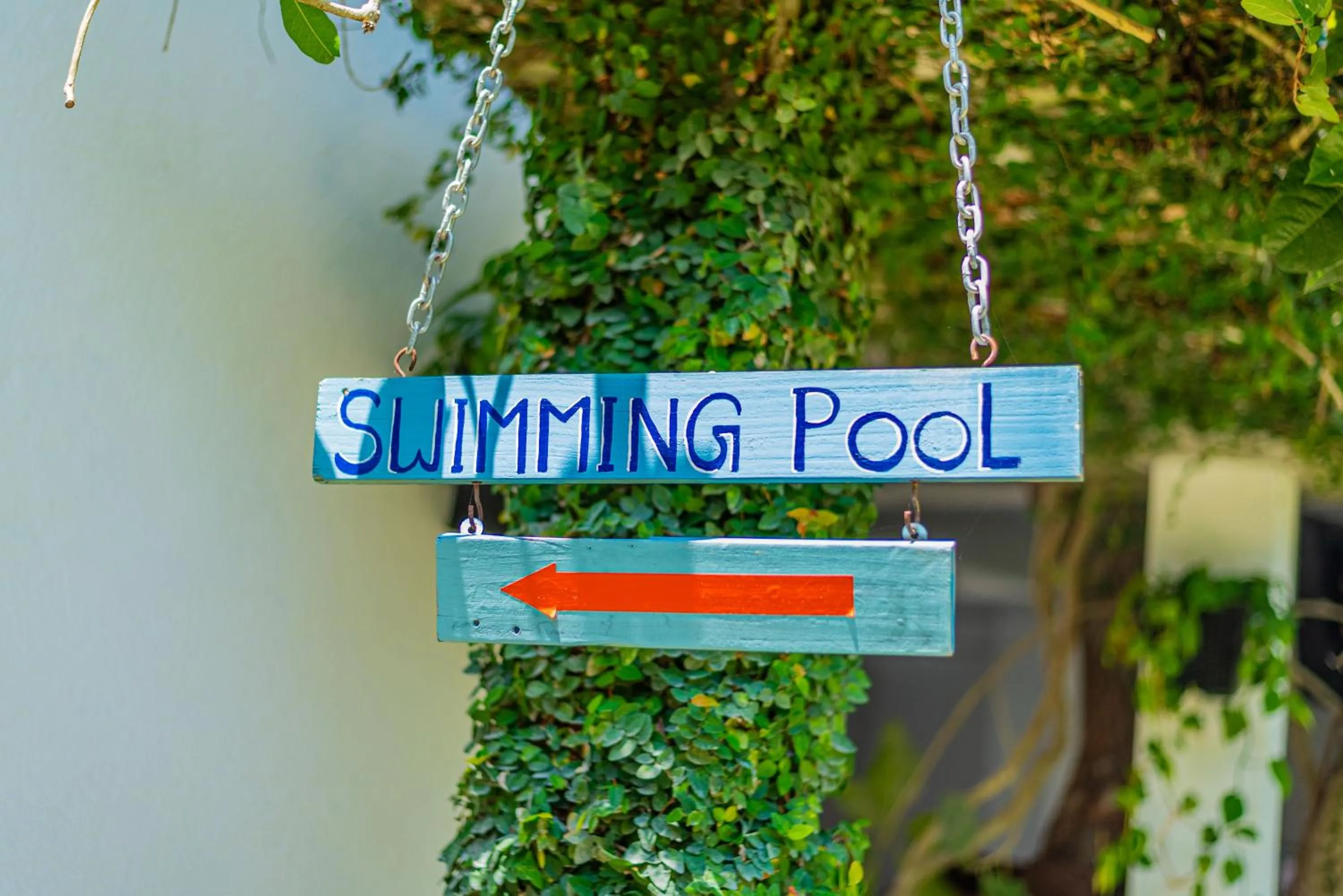 Day in Eco Hotel Black & White - Anuradhapura