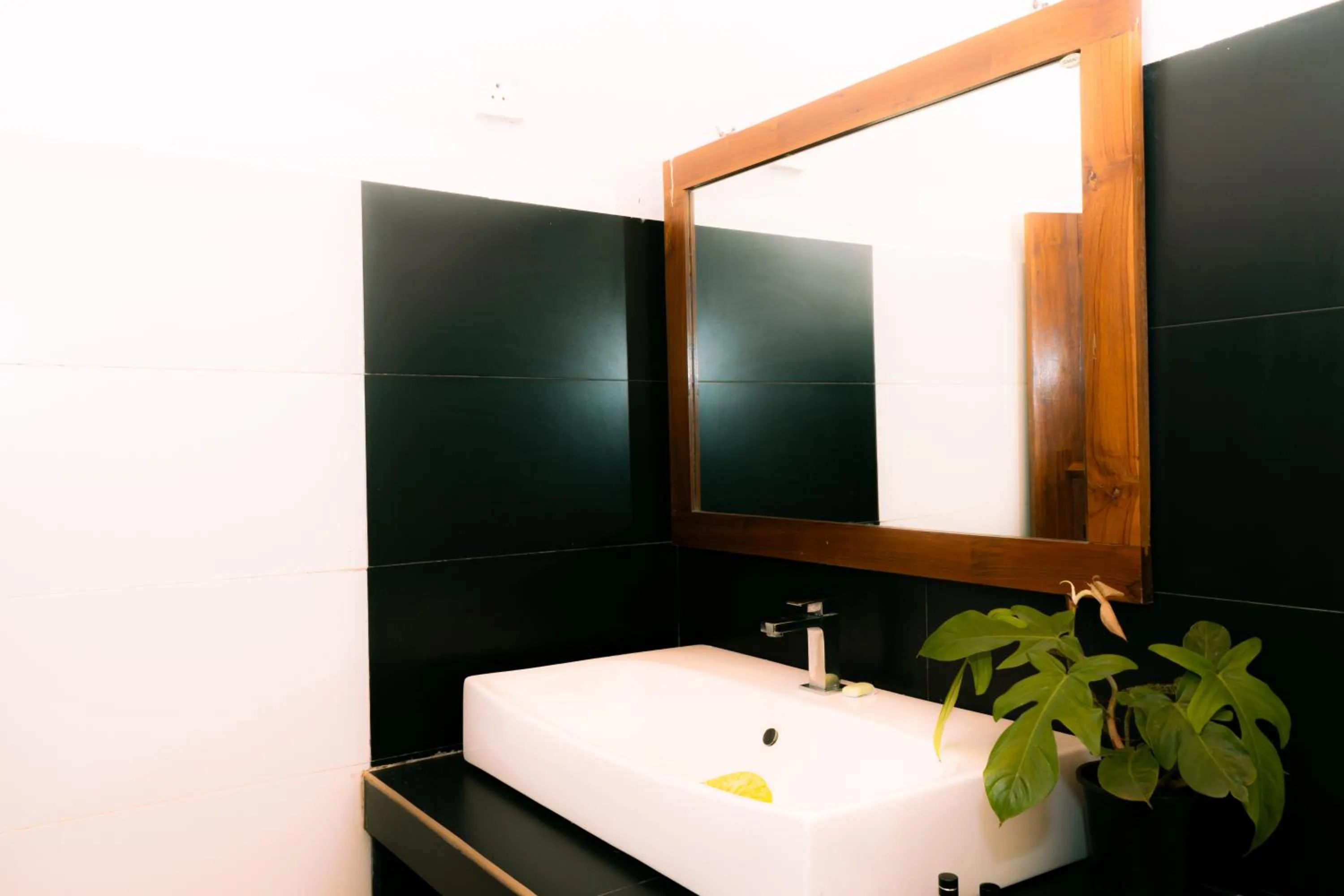 Eco Hotel Black & White - Anuradhapura