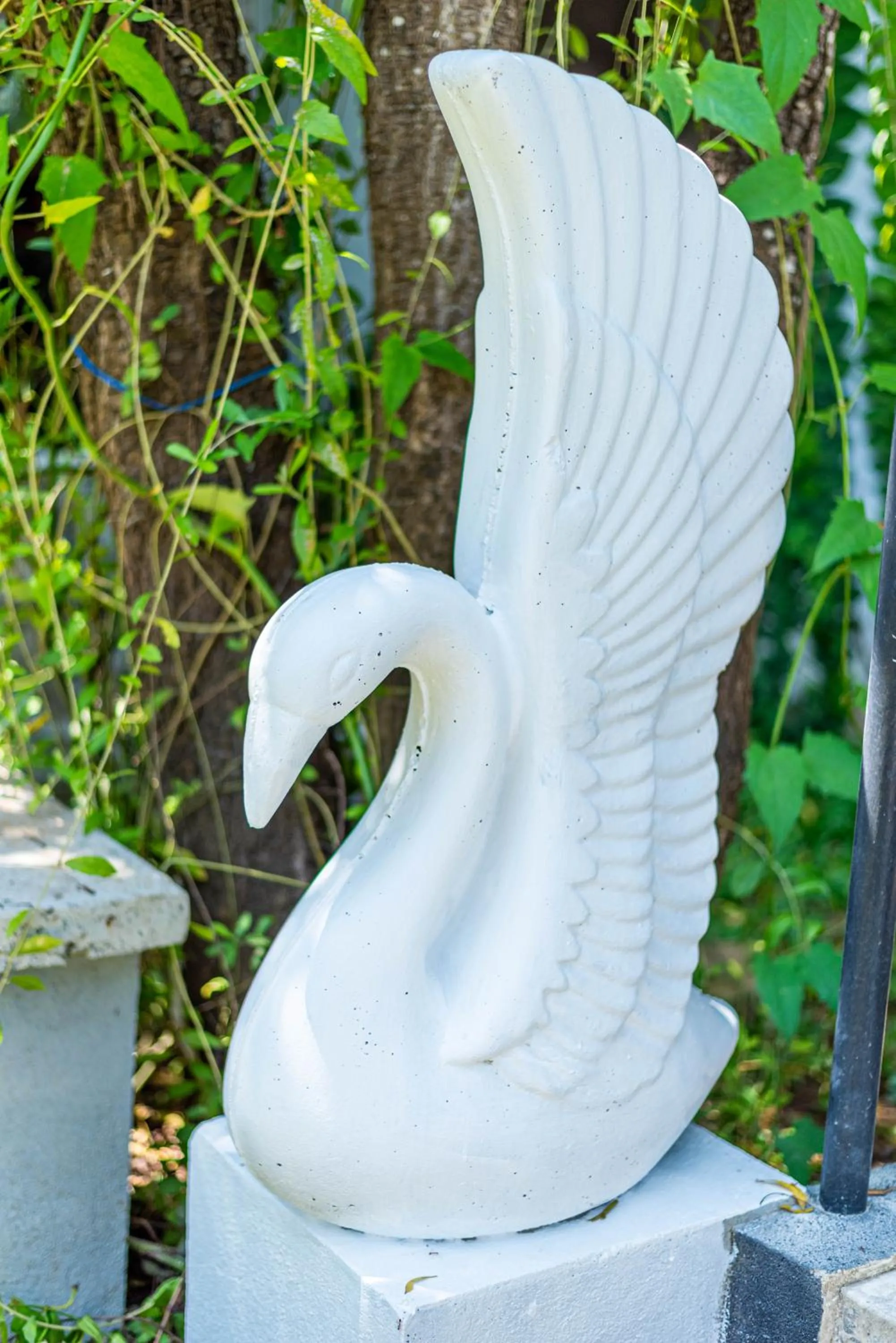 Day in Eco Hotel Black & White - Anuradhapura