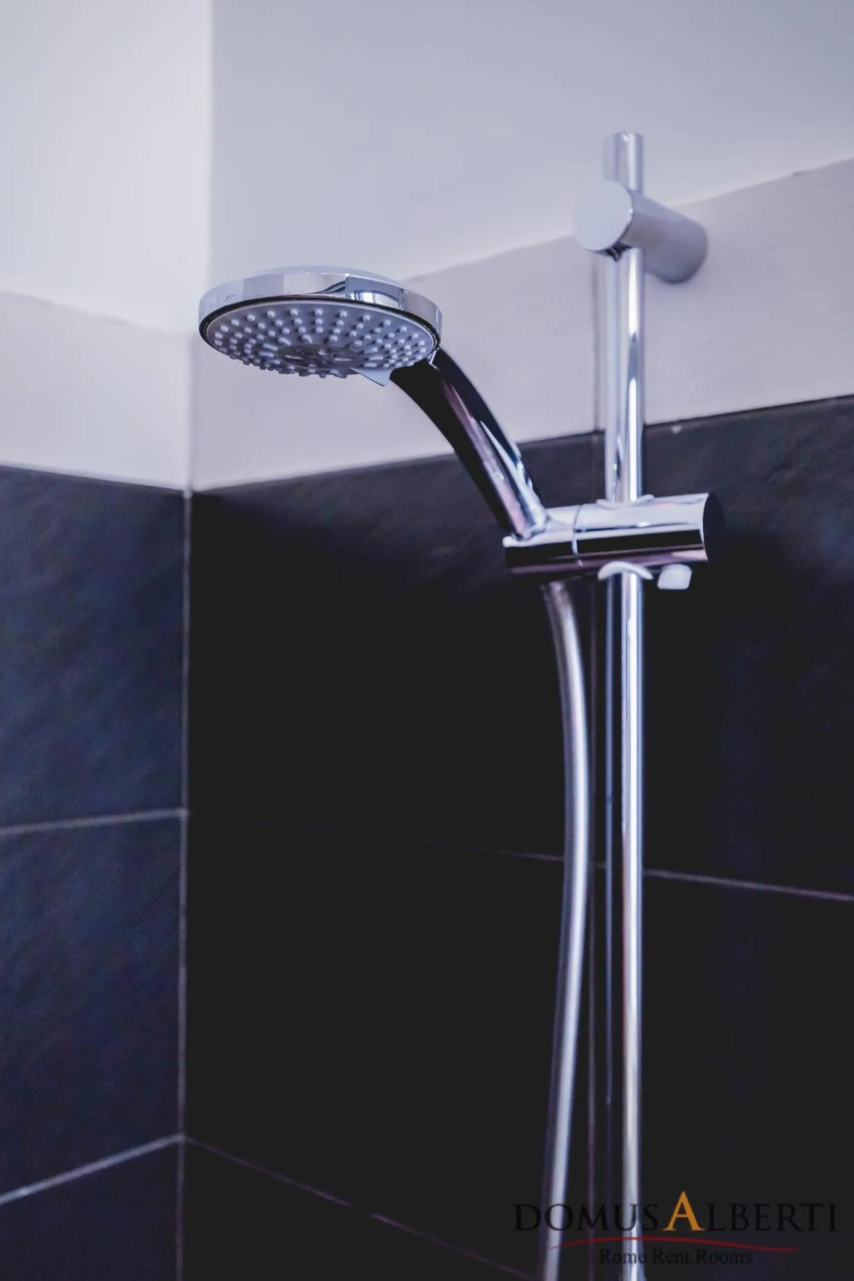 Shower in Domus Alberti Bed & Breakfast