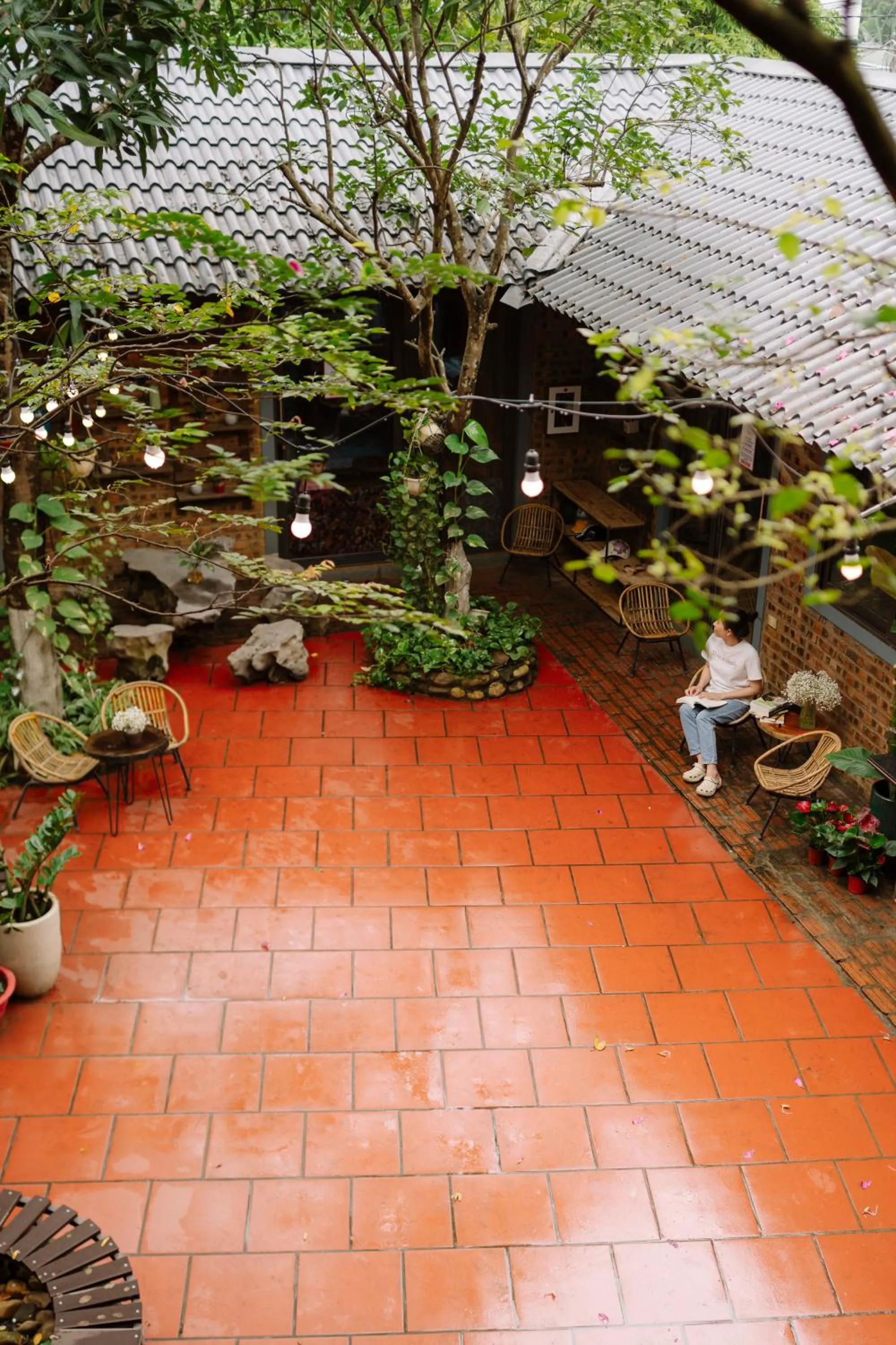 Spring in Wafami Hostel Ninh Binh