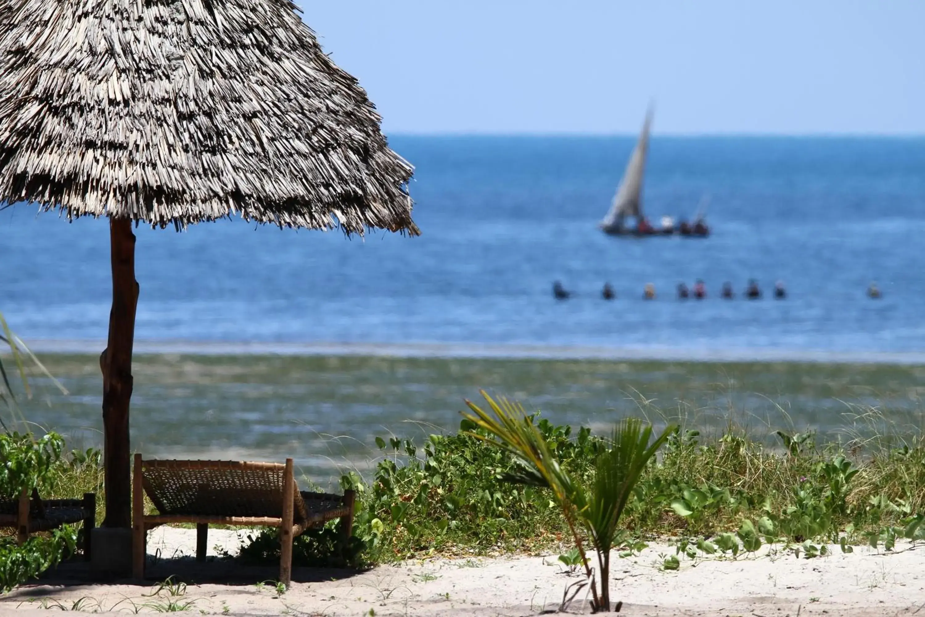 Two-Bedroom Bungalow - single occupancy in Kijongo Bay Beach Resort Two-Bedroom Bungalow - single occupancy in Kijongo Bay Beach Resort