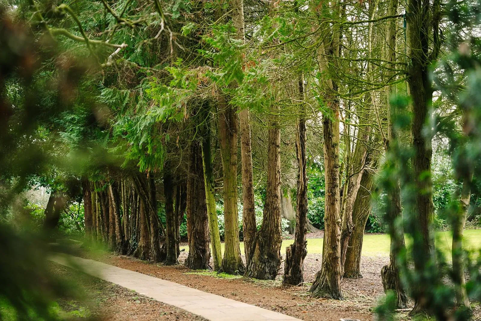 Garden in Ansty Hall