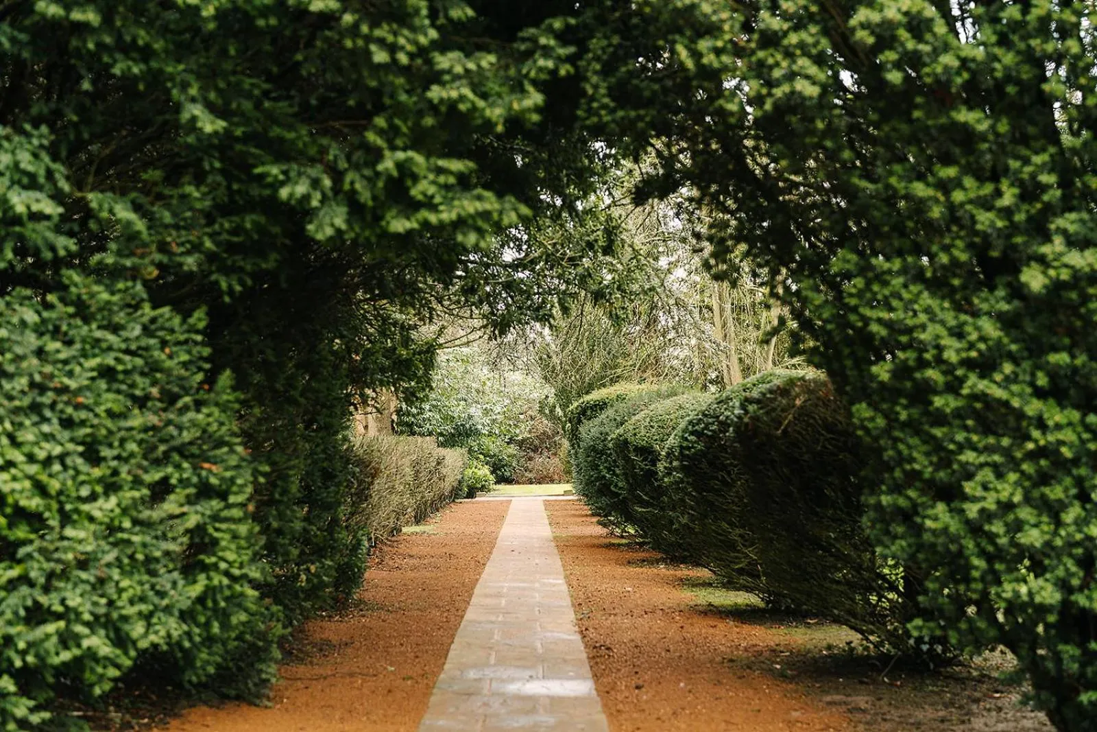 Garden in Ansty Hall