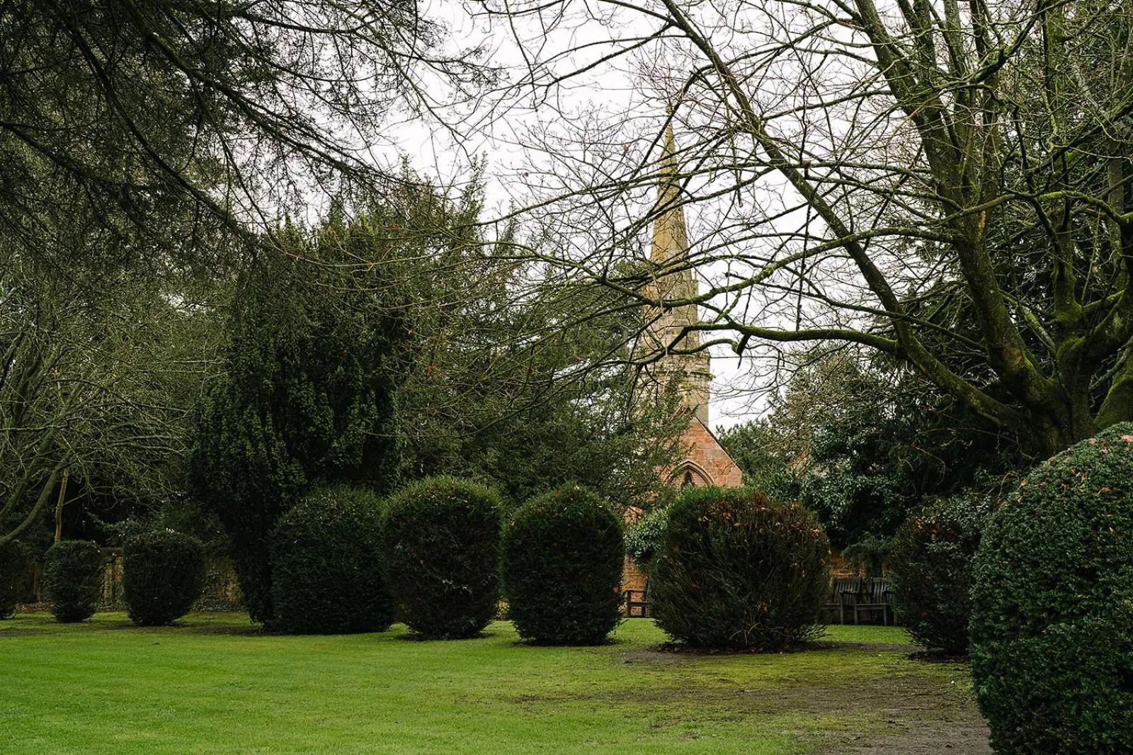 Garden in Ansty Hall