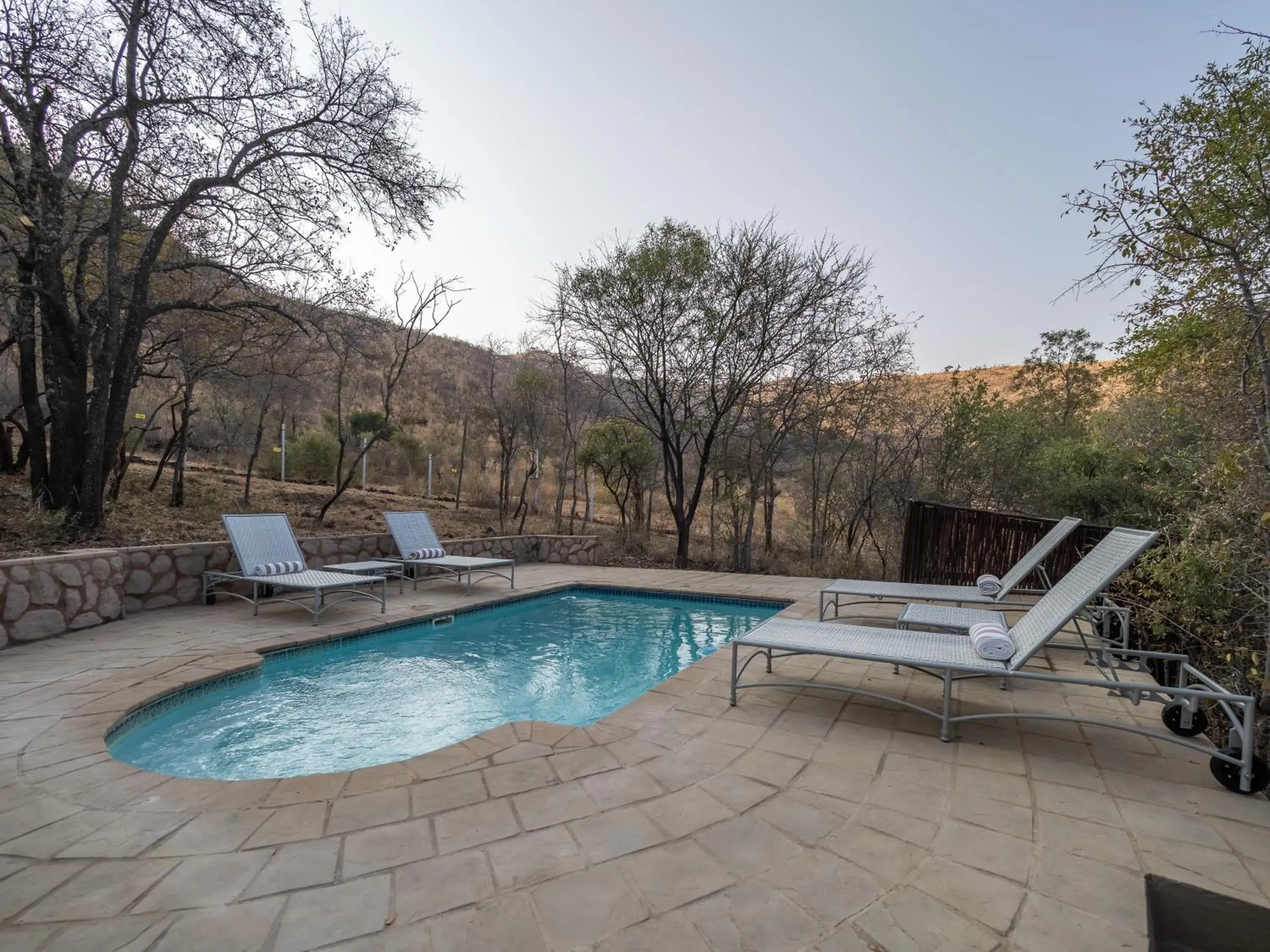Pool view in Ivory Tree Game Lodge Pool view in Ivory Tree Game Lodge