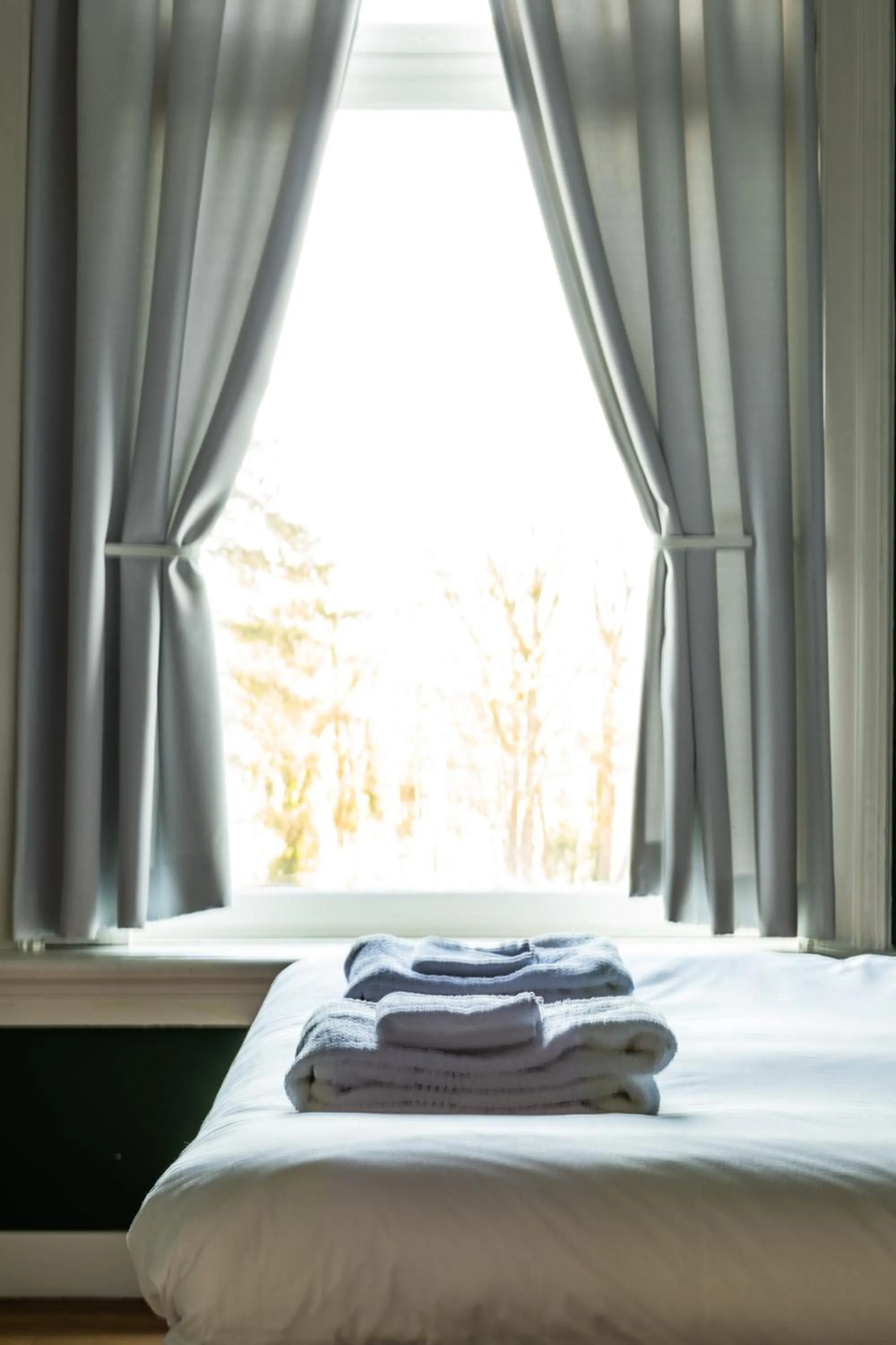 Bed in de Lochemse Berg