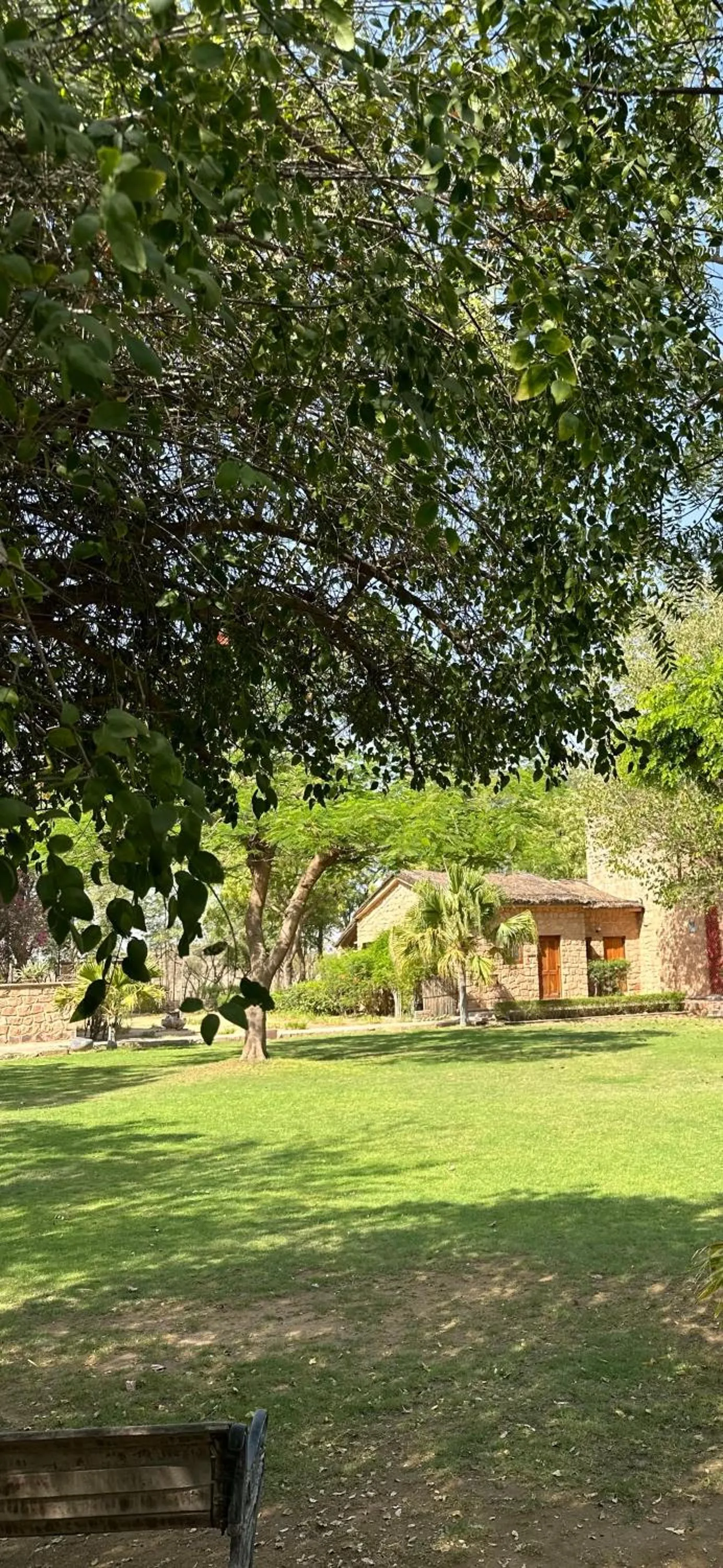 Garden in MANVĀR SHERGARH, THE DESERT RESORT