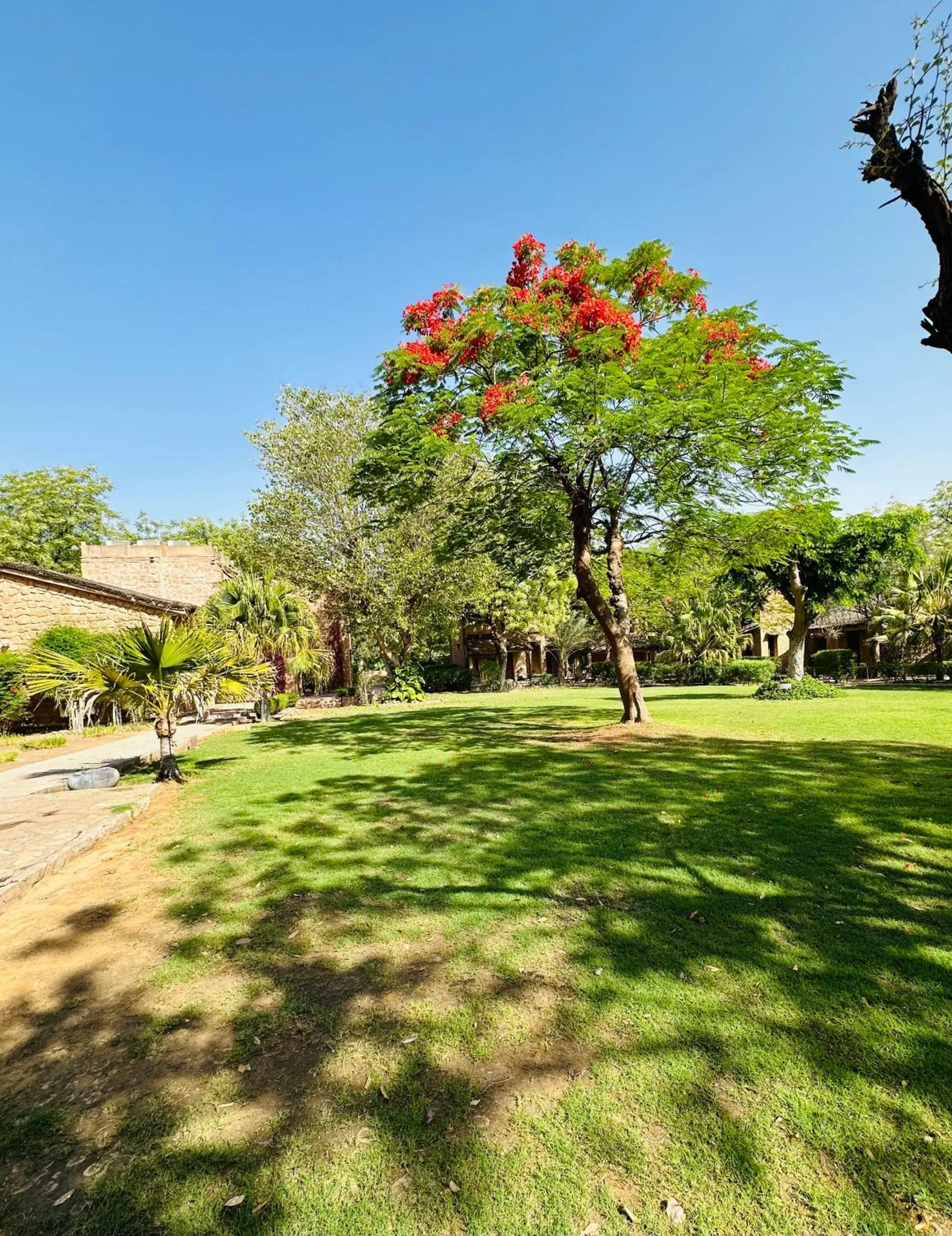 Garden in MANVĀR SHERGARH, THE DESERT RESORT