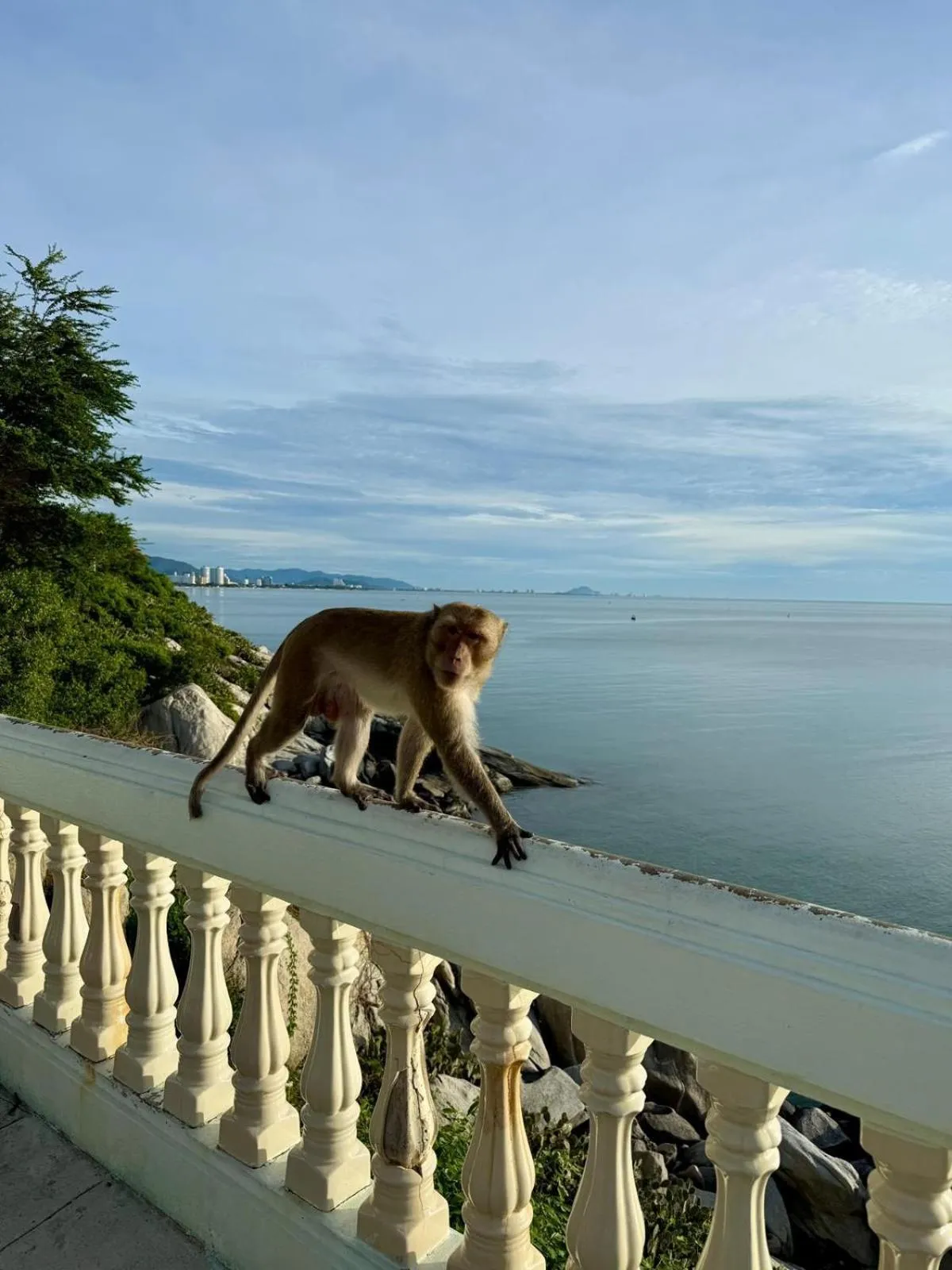 Natural landscape in Luna Hut Resort