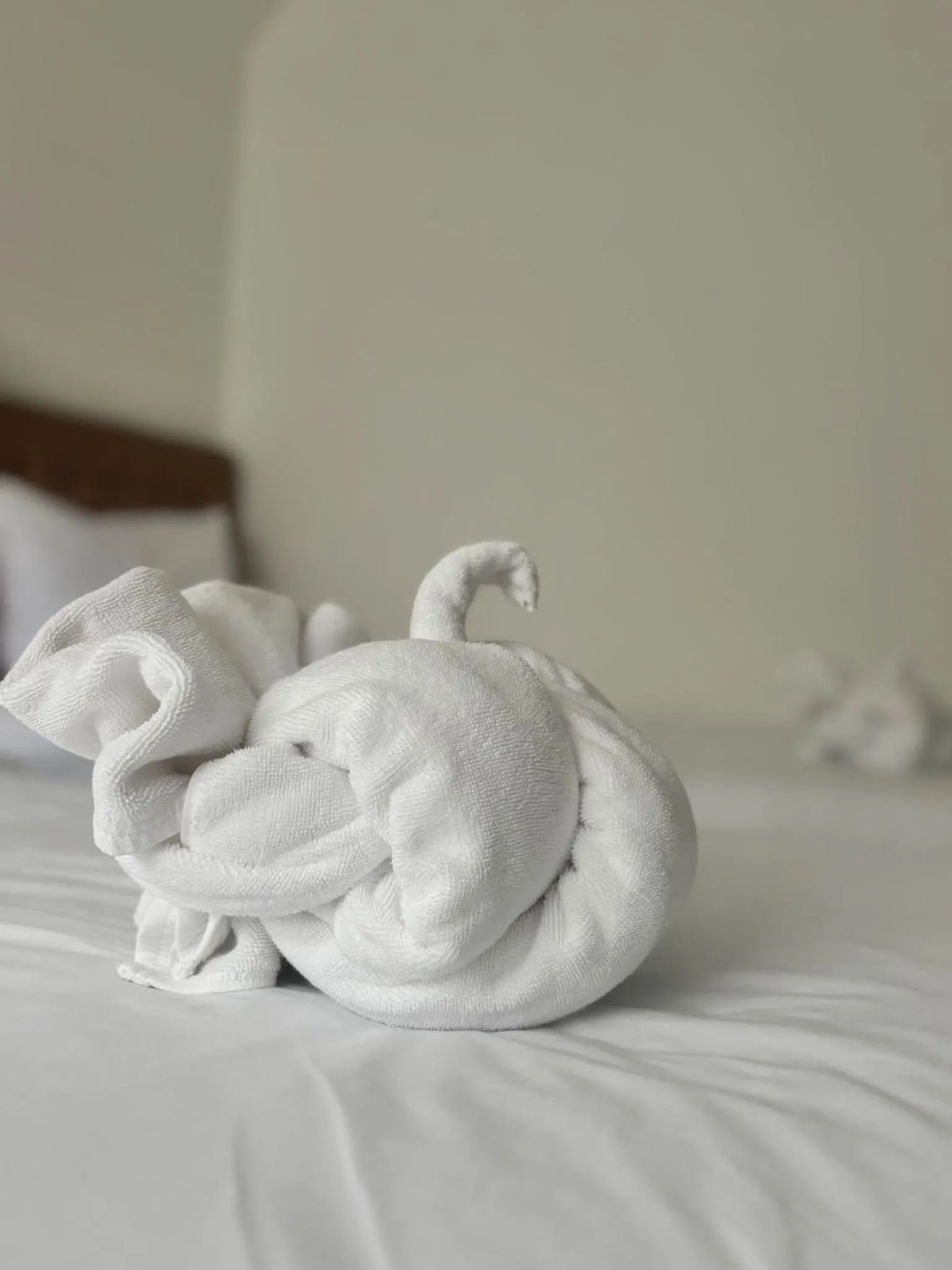 Decorative detail, Bed in Luna Hut Resort