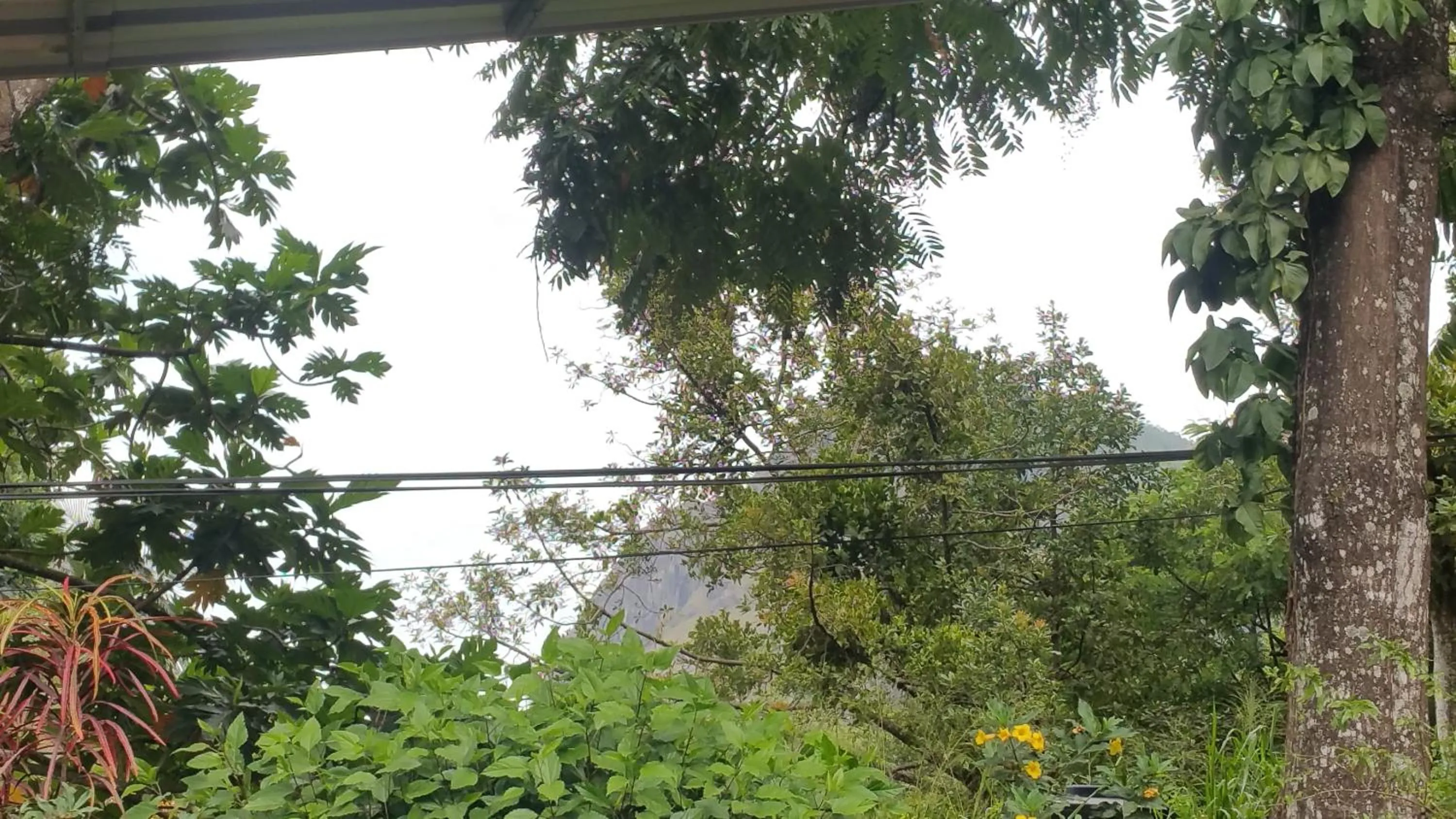 Property building in 59B Rest Inn Ella