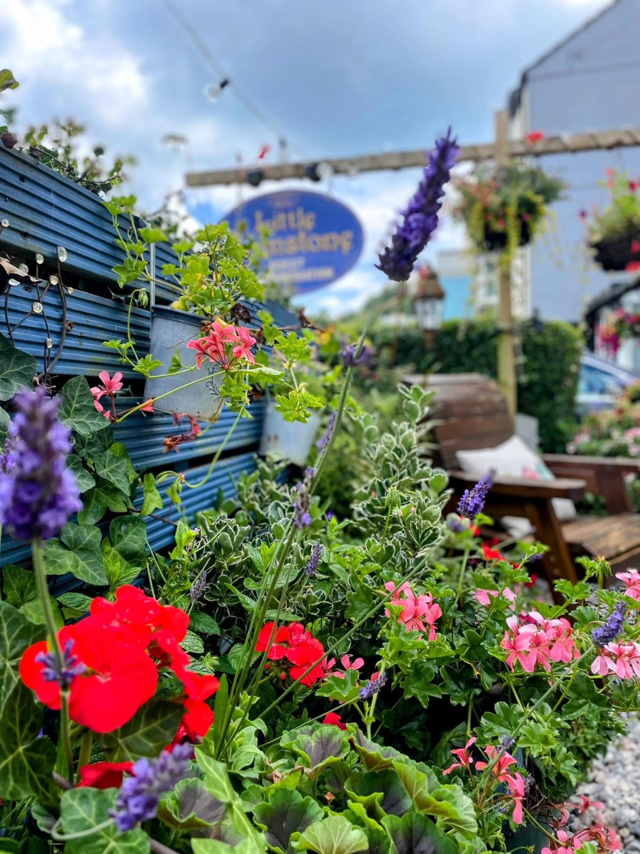Garden in Little Mainstone Guest House