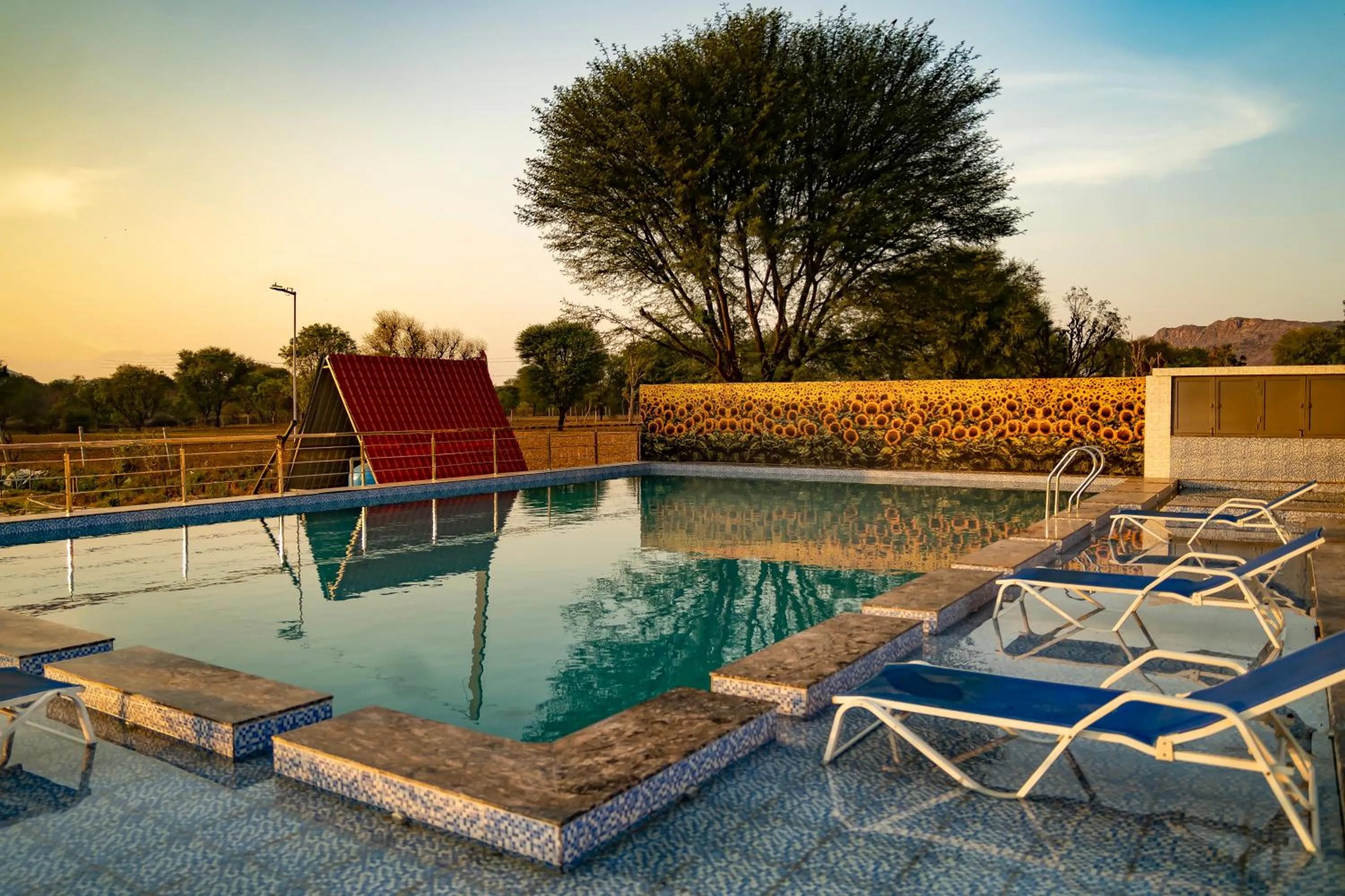 Pool view in Sunflower Saga