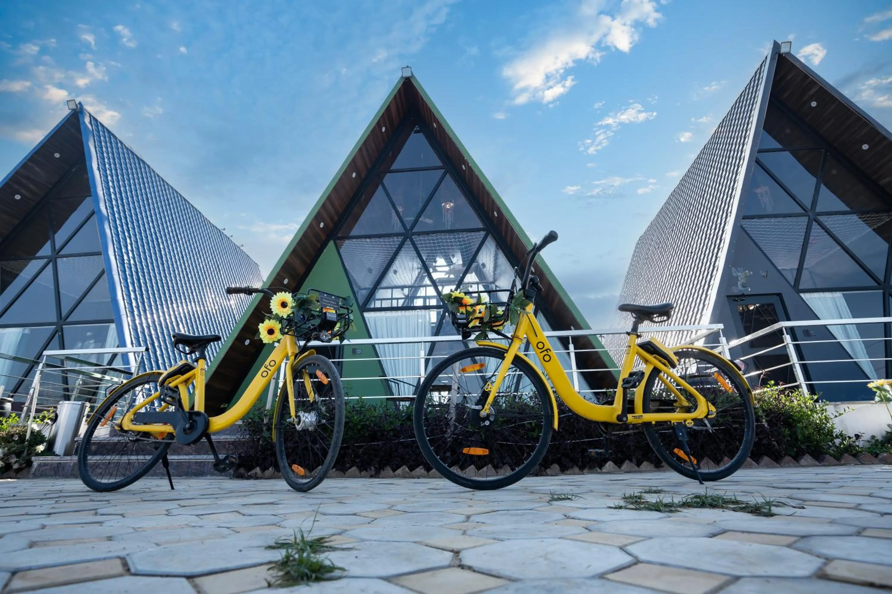 Area and facilities in Sunflower Saga