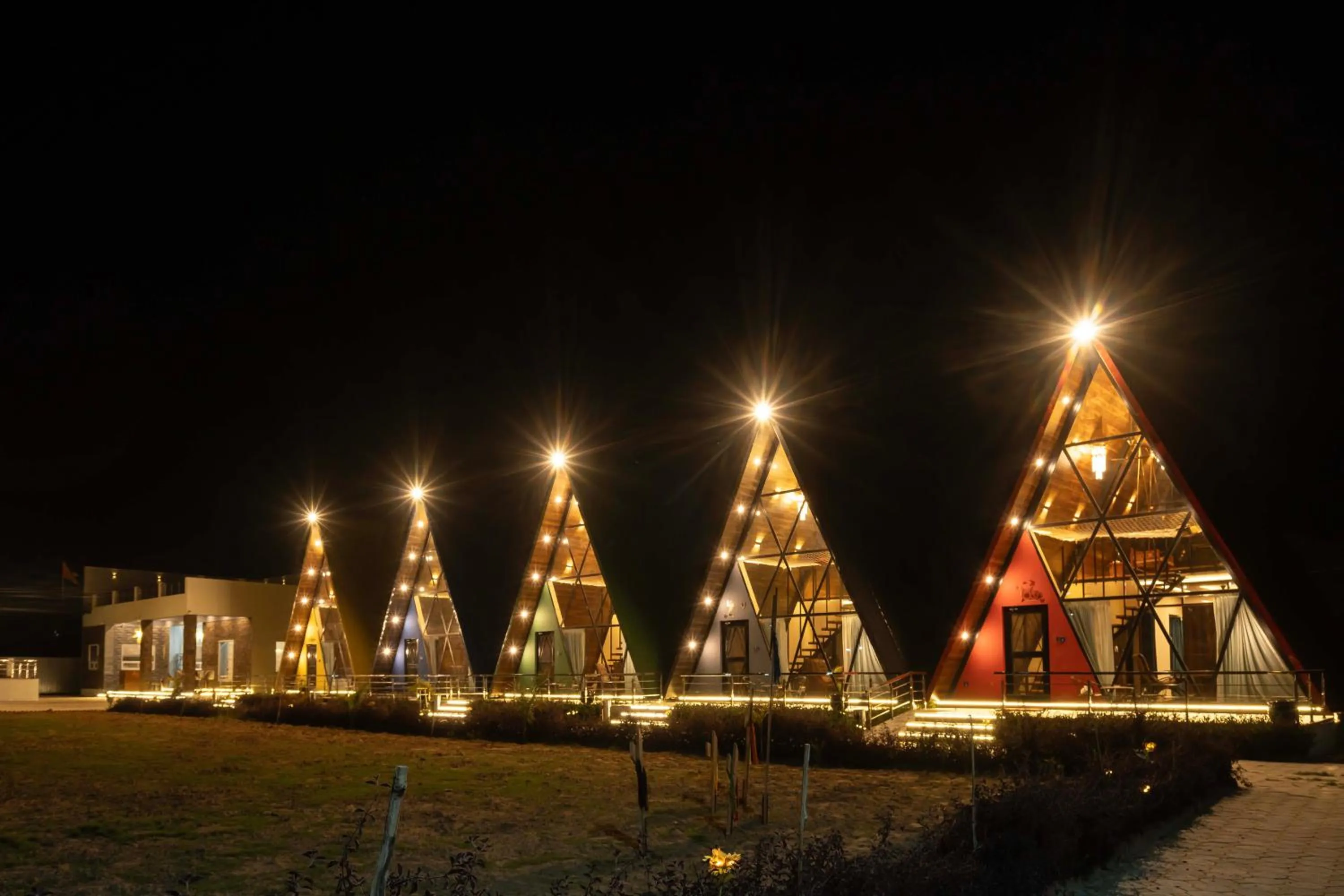 Night in Sunflower Saga